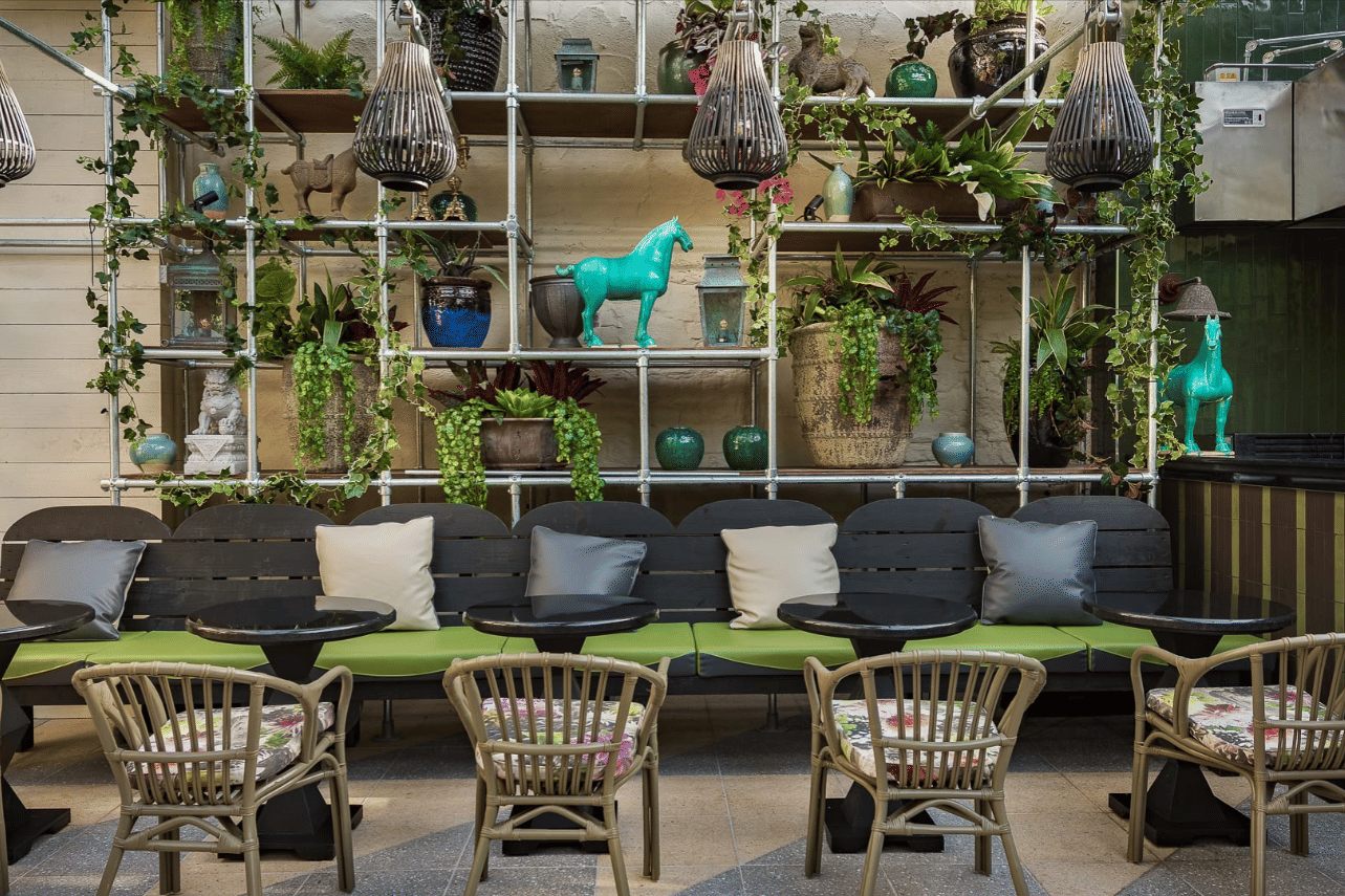 The Botanical Garden 1