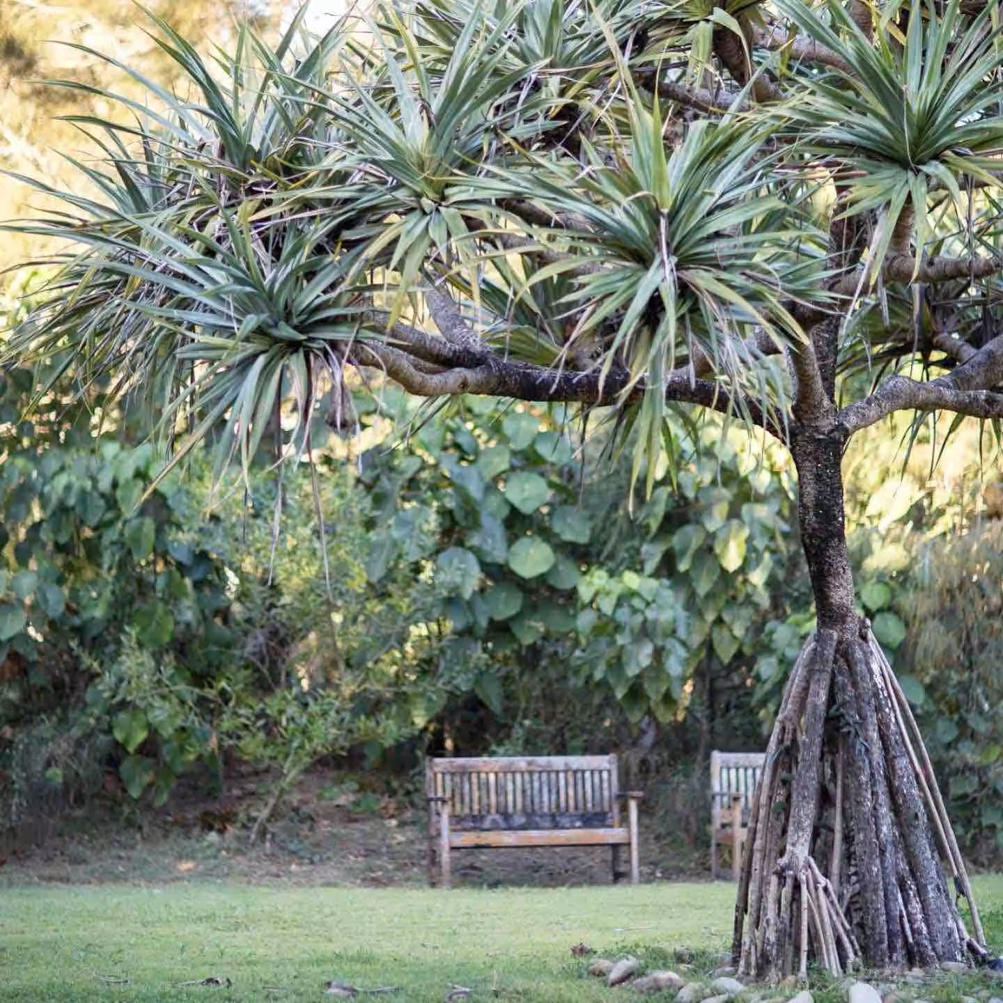 Somerleys Ocean Retreat 16