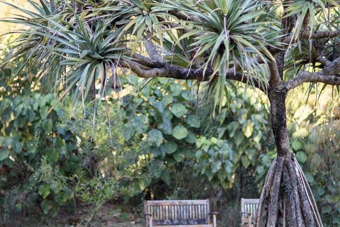 Somerleys Ocean Retreat 16