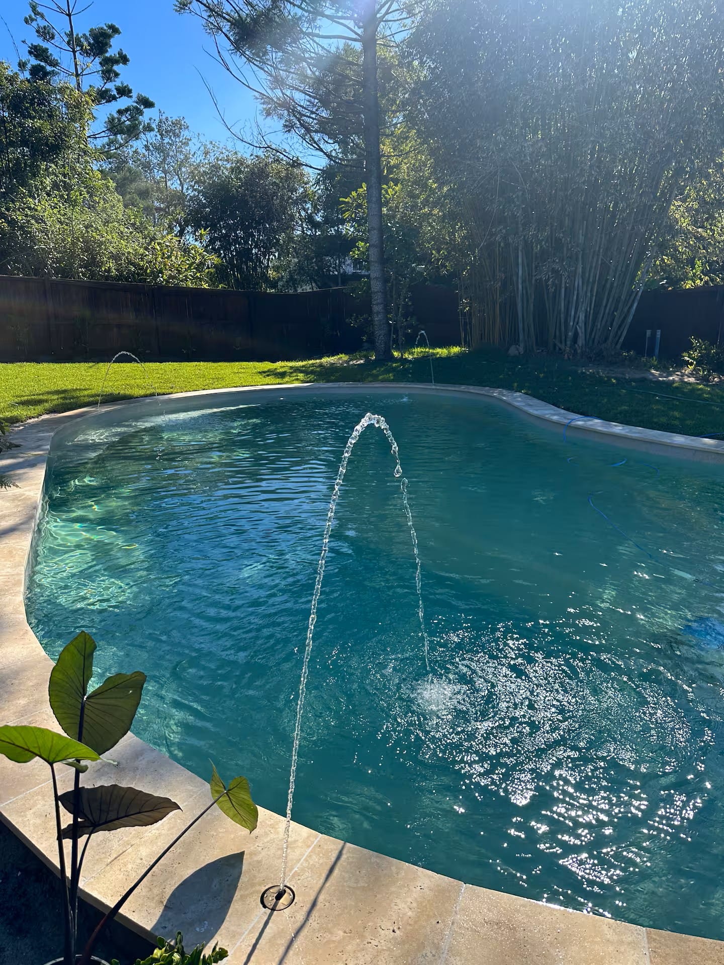 Somerleys Ocean Retreat 9