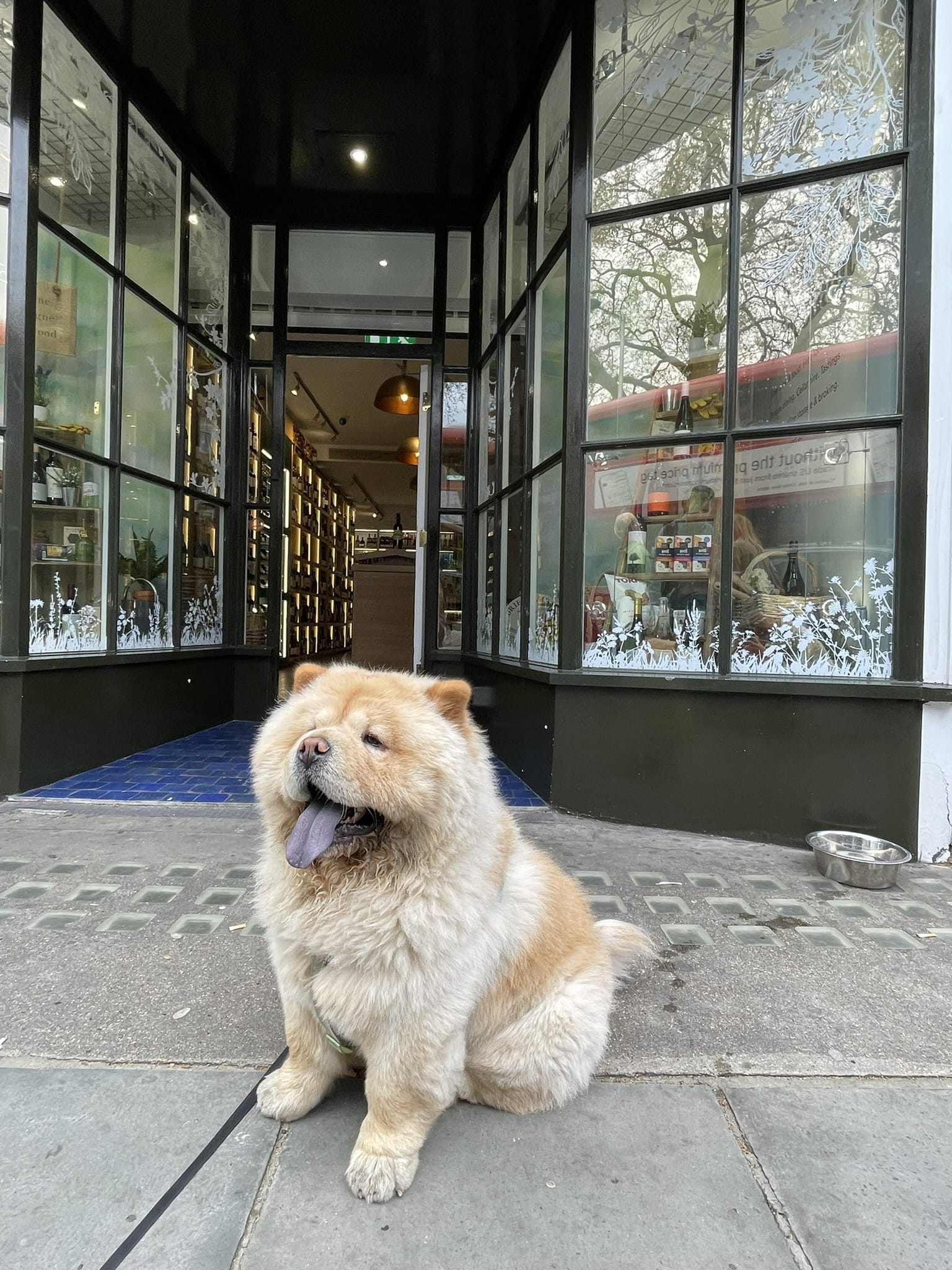 Jeroboams - Private dining, wine tasting, drinks receptions. 18