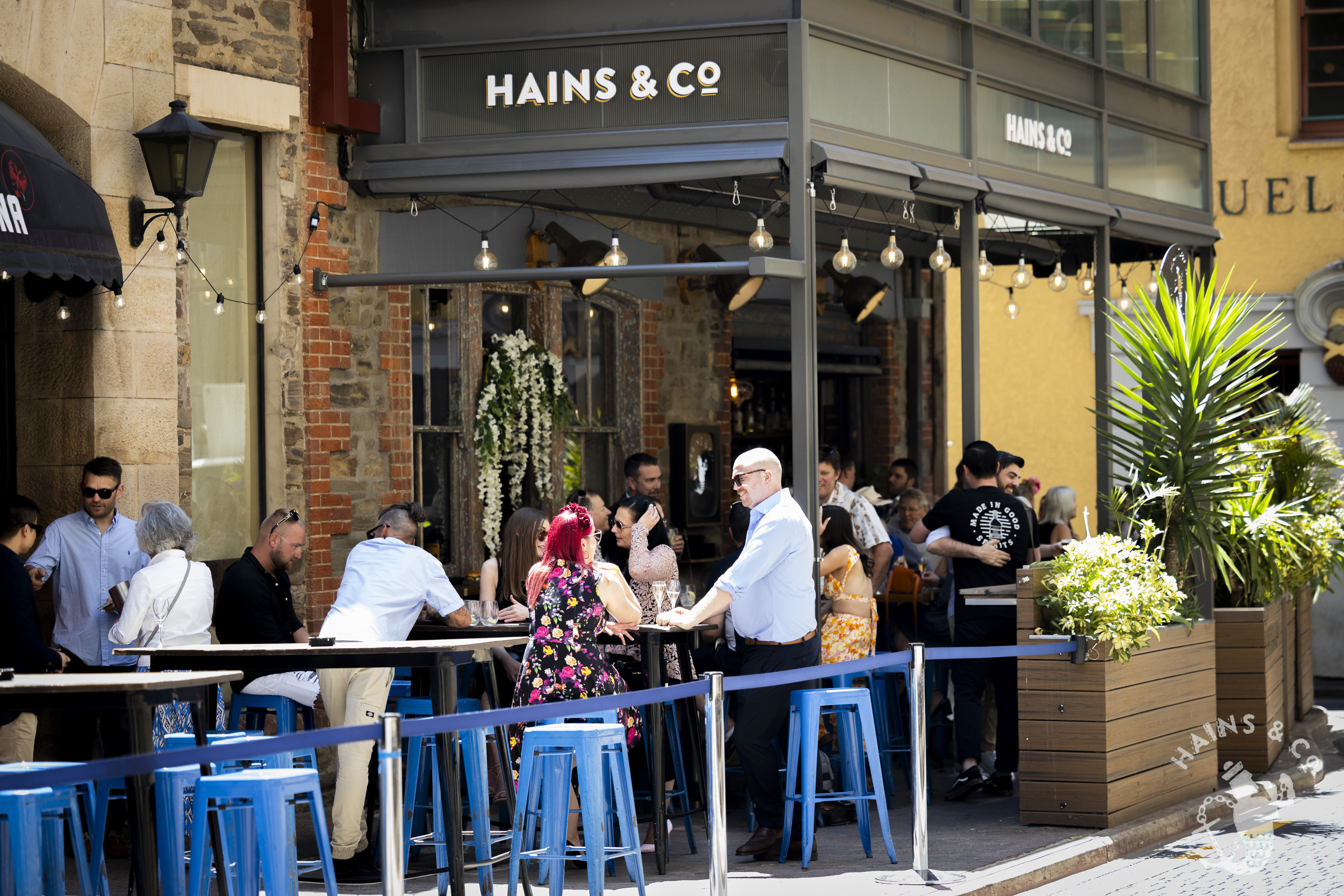 Hains & Co Bar 9