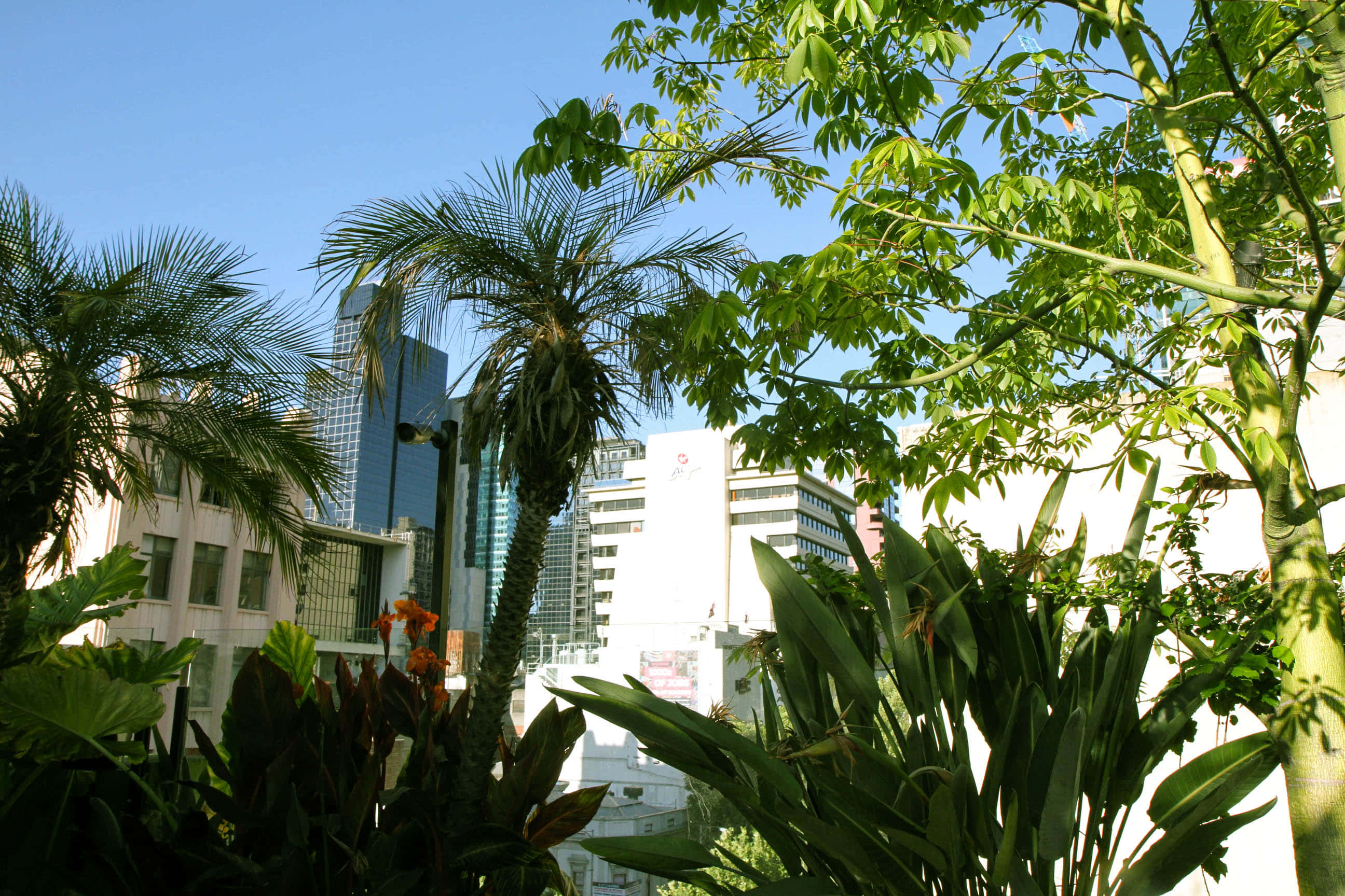 The Carlton Bar & Balcony 2