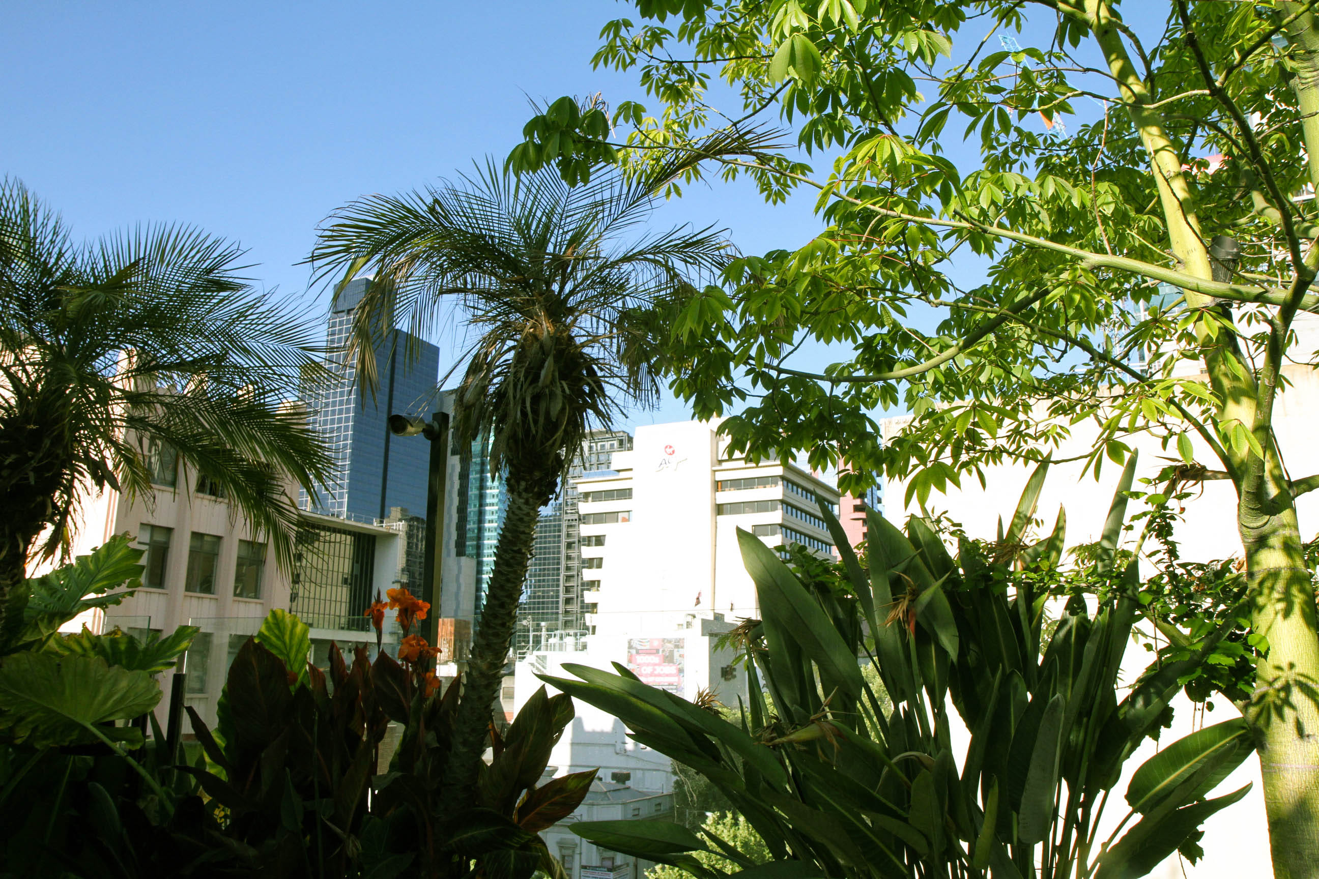 The Carlton Dining Room 2