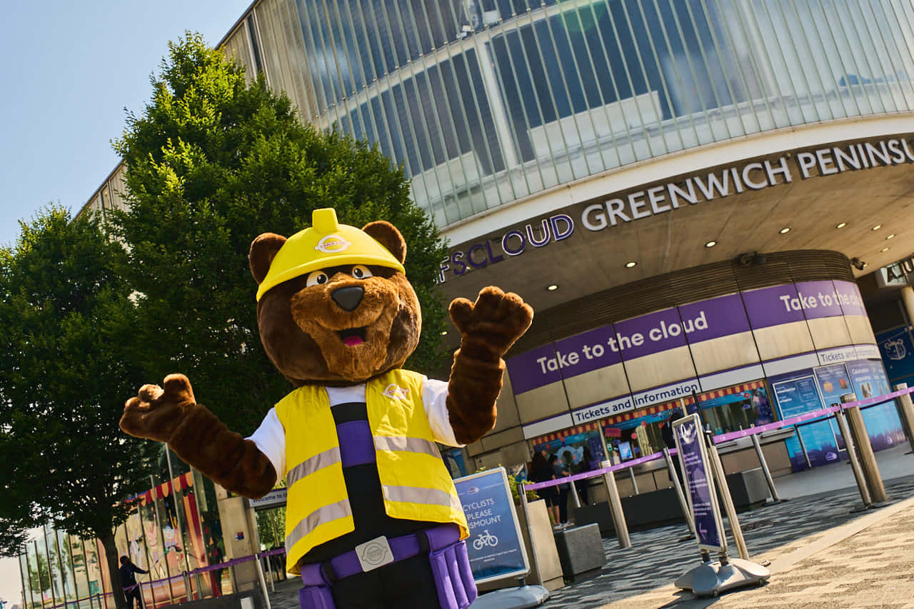 Cable Car Experience 10