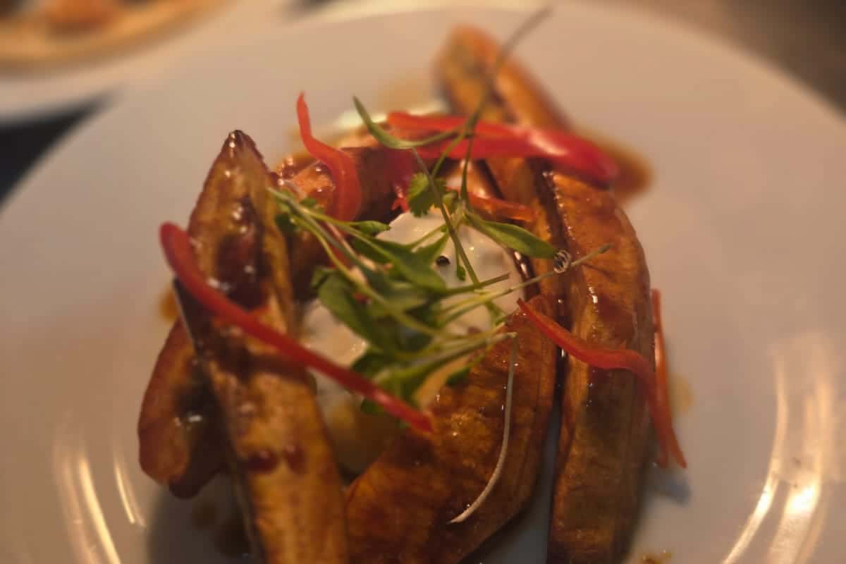 The Horn of Plenty Pub 11