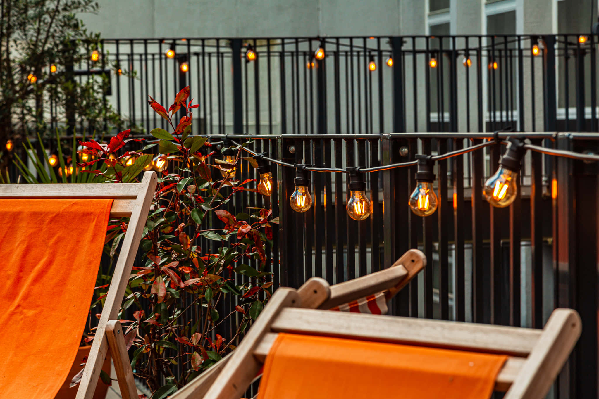 Rooftop Deck and Dome 9