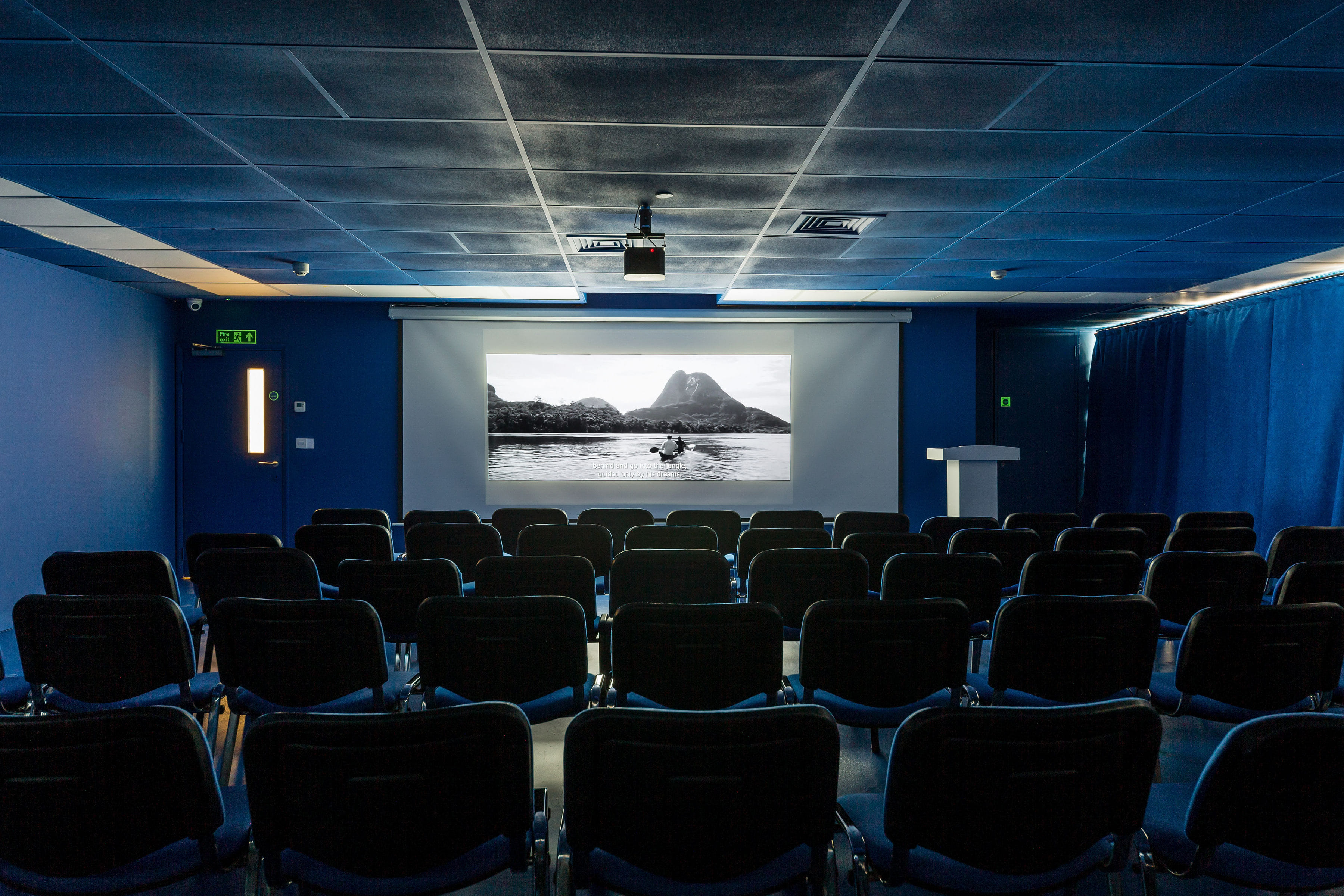 Screening, Presentations & Meetings (Blue Room)