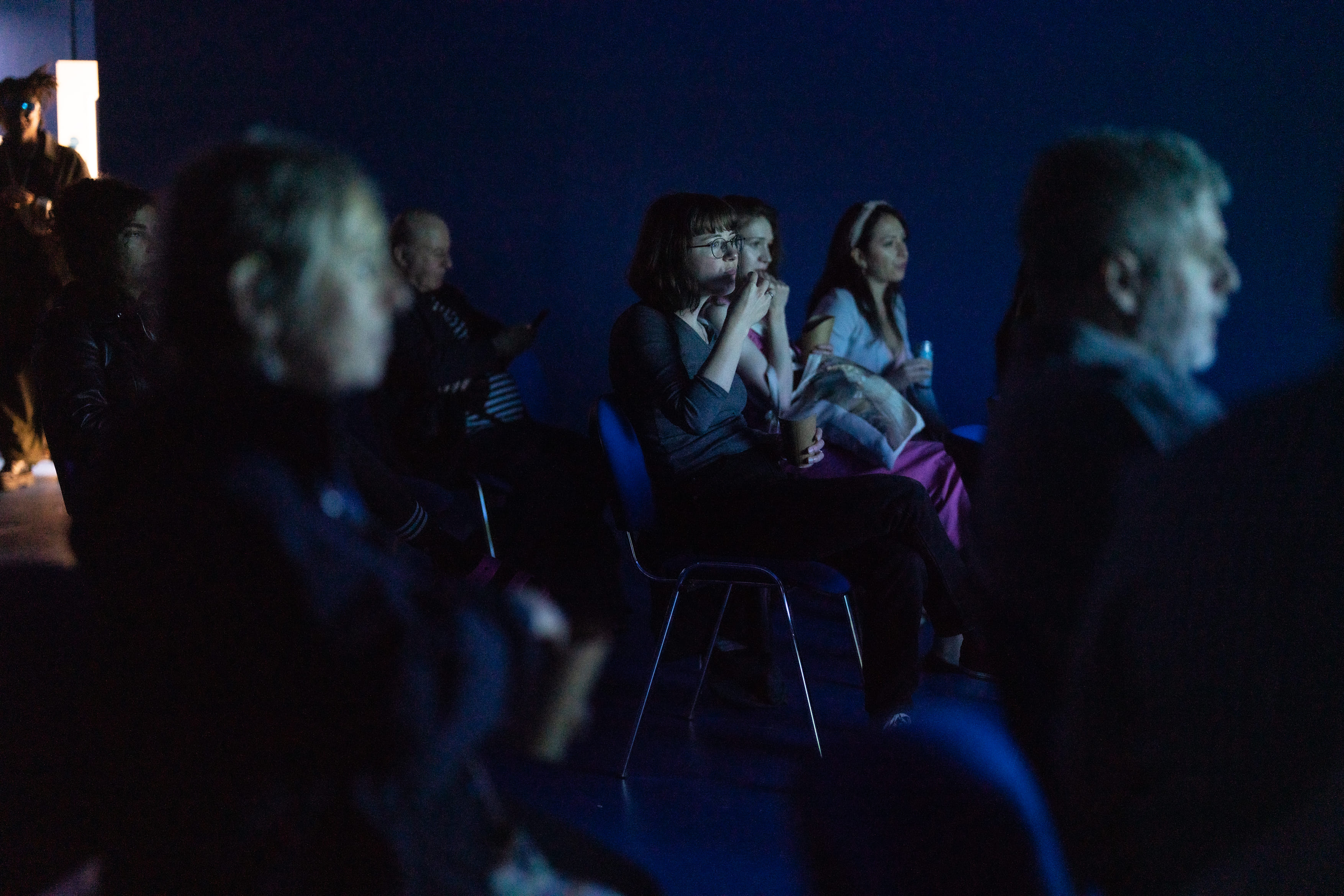 Screening, Presentations & Meetings (Blue Room) 1