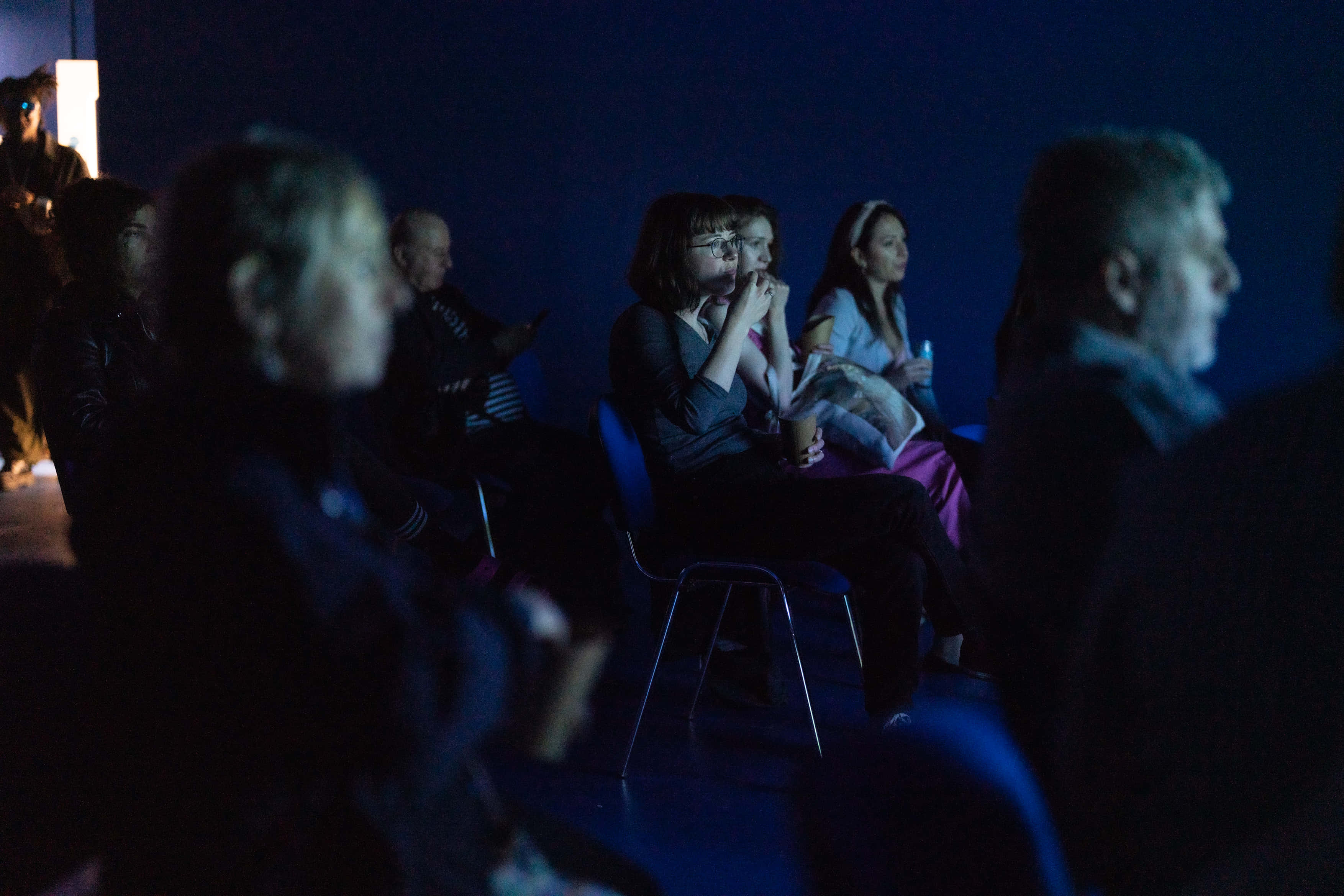 Screening, Presentations & Meetings (Blue Room) 1