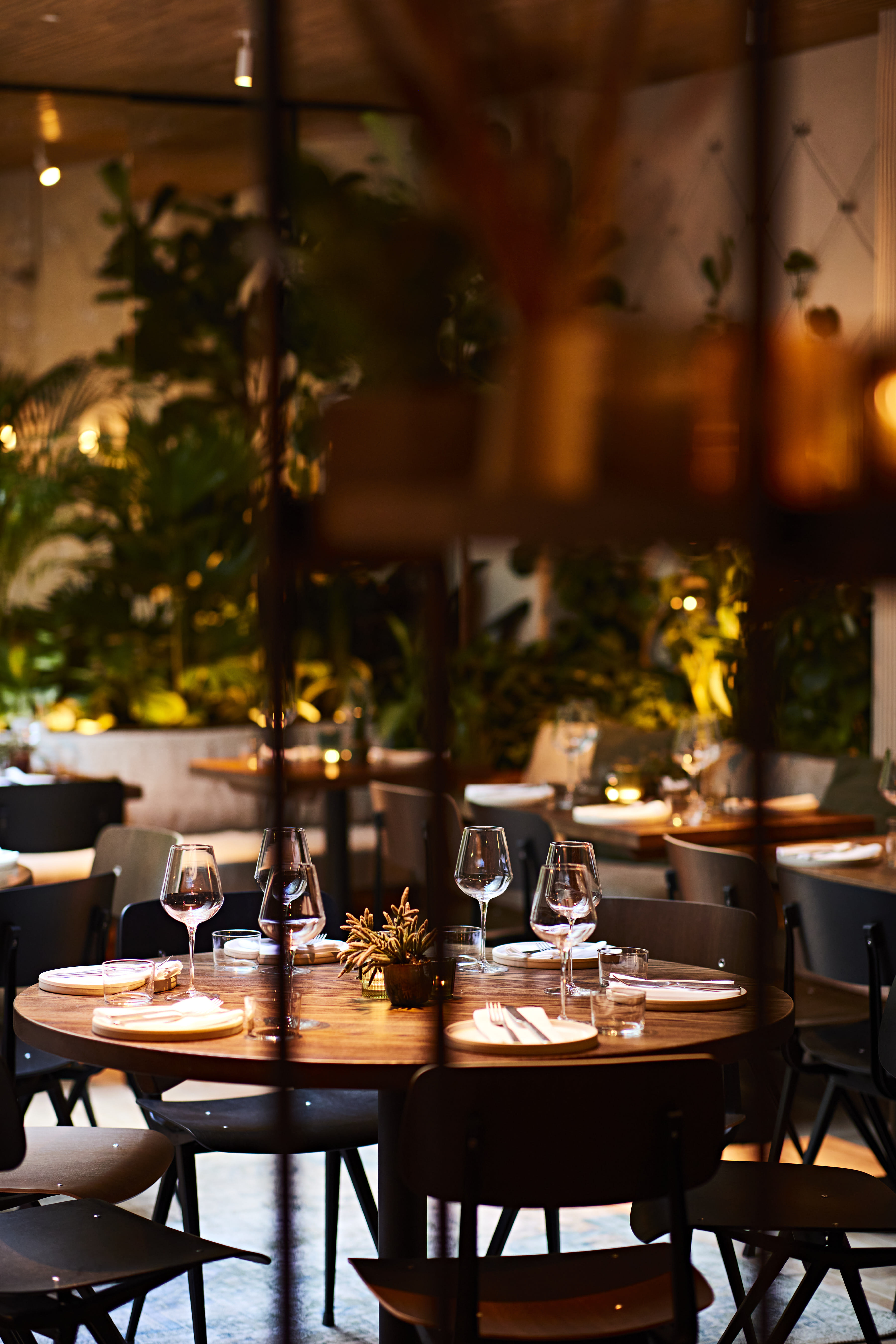 Green Room @ Carmel Fitzrovia 1