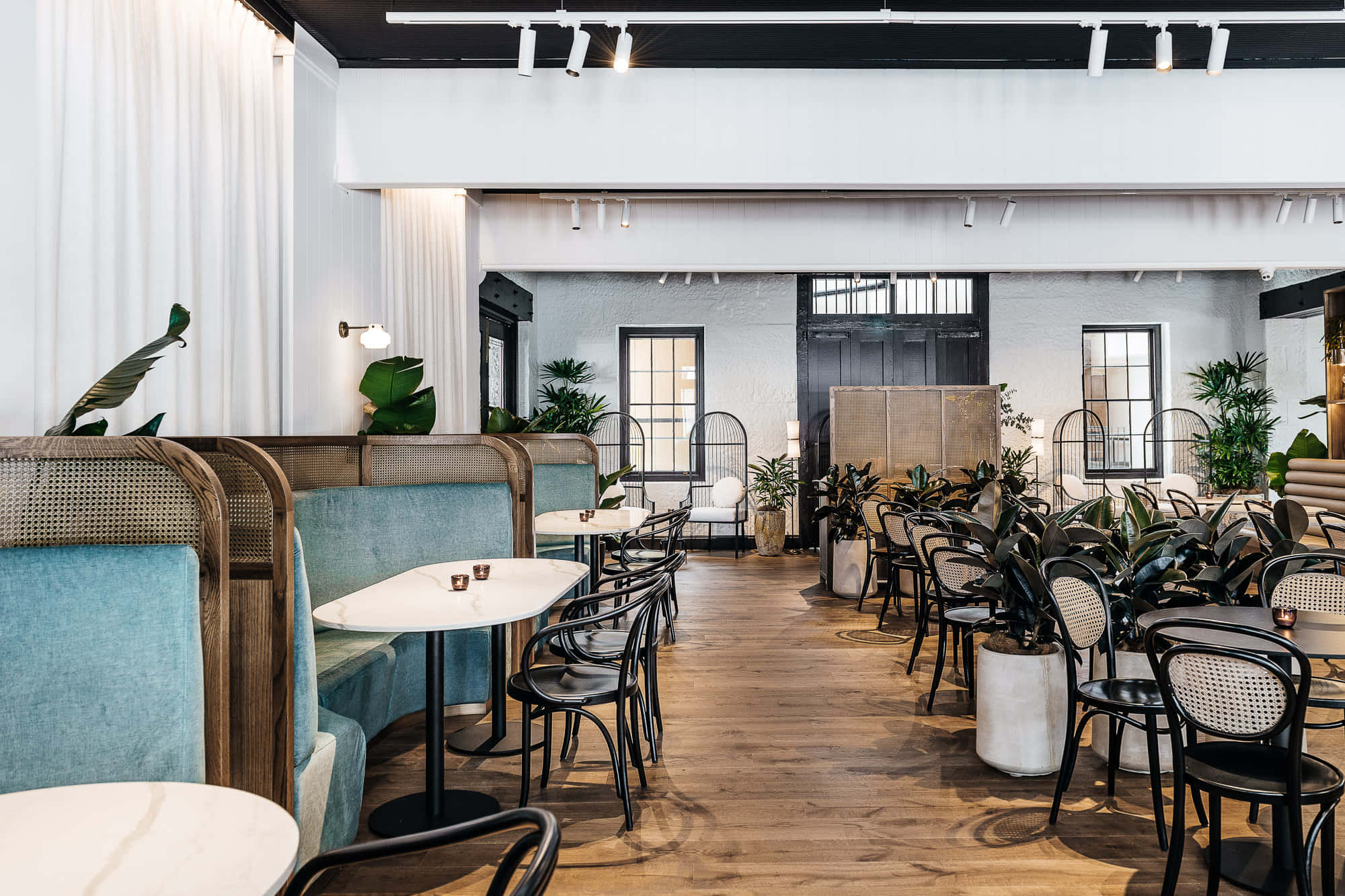 Jackalberry Restaurant and Bar 1