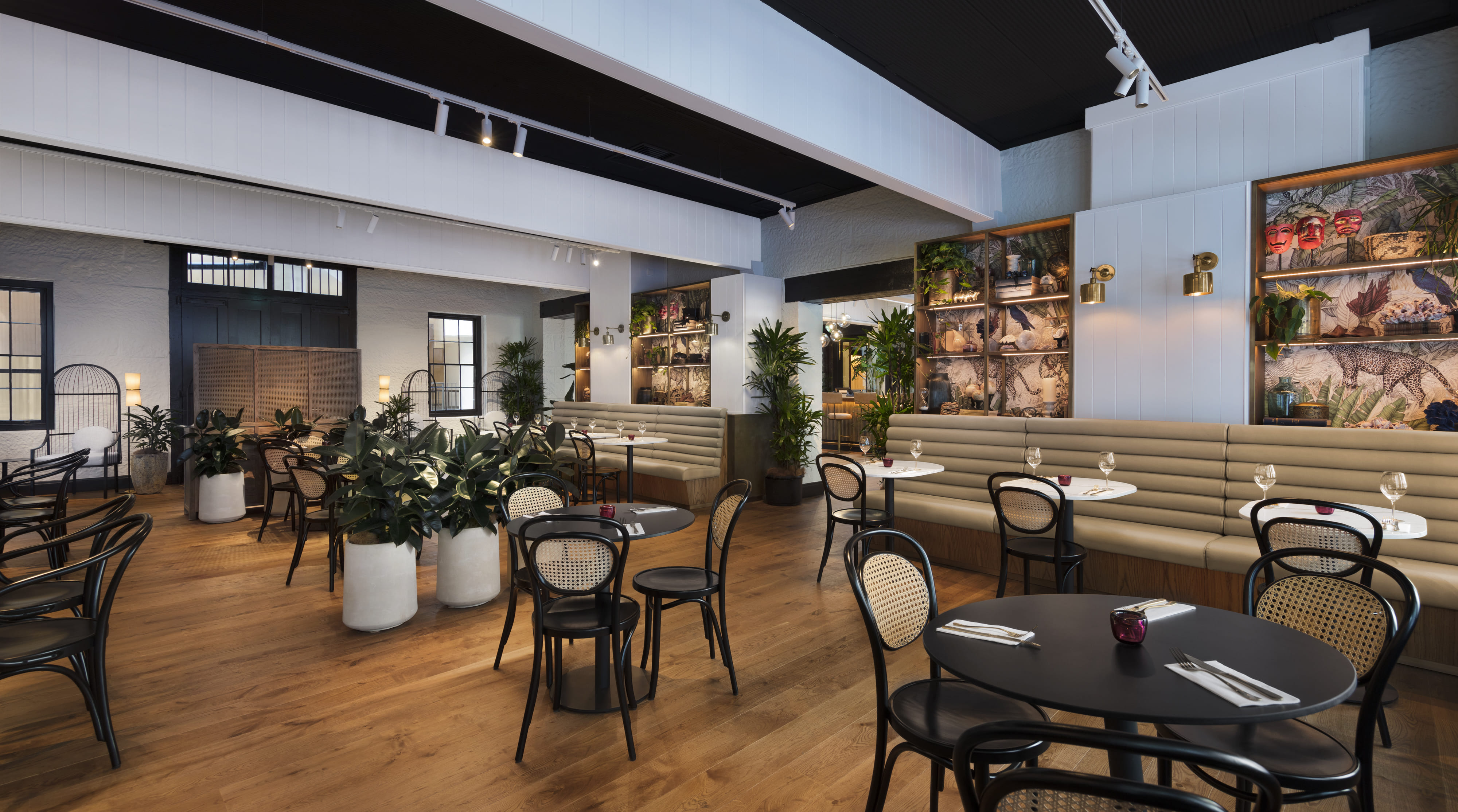 Jackalberry Restaurant and Bar  3