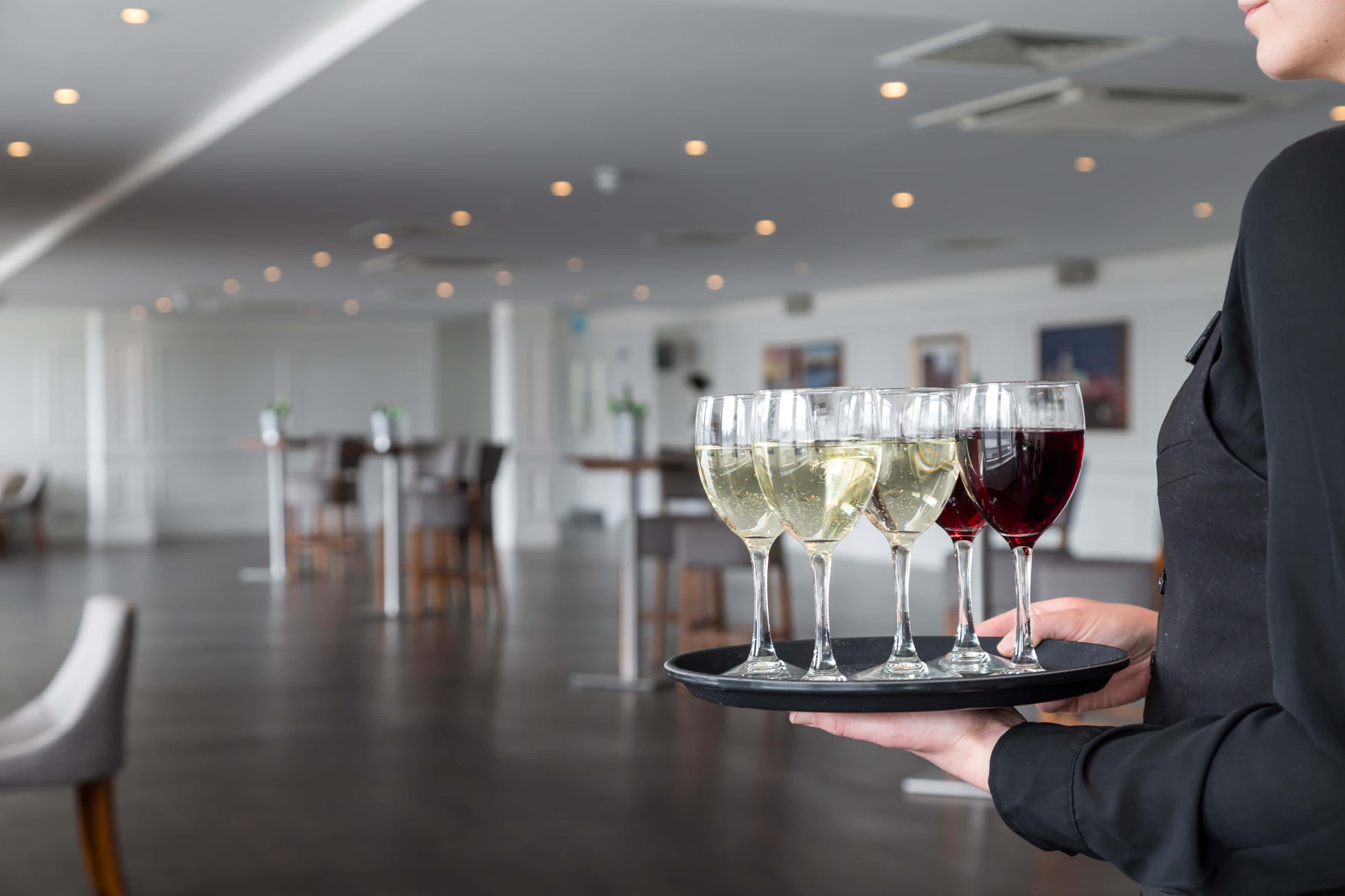 The Lower River Room 2