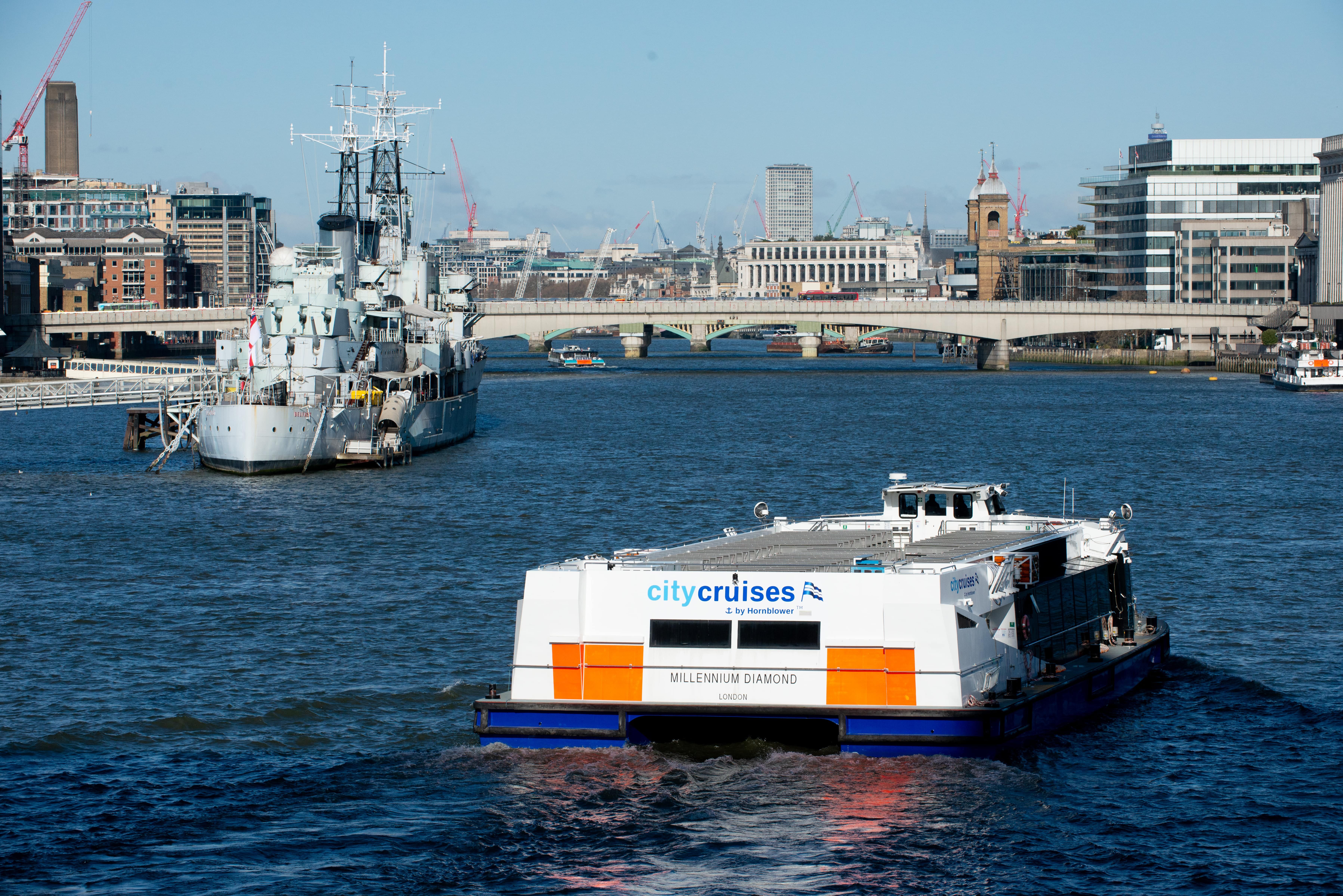 Millennium Diamond 6