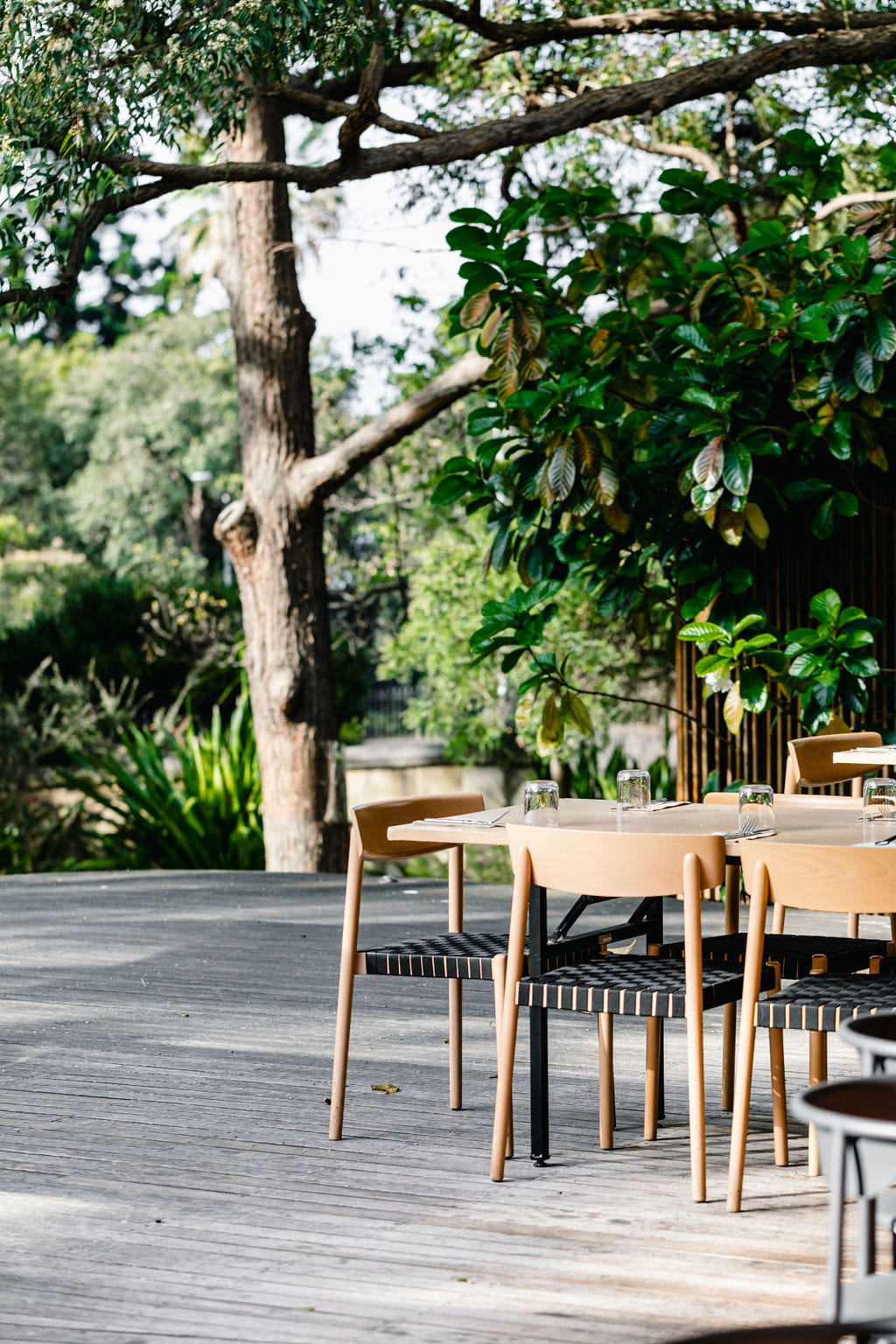 Terrace on the Domain Decking (Only)  3