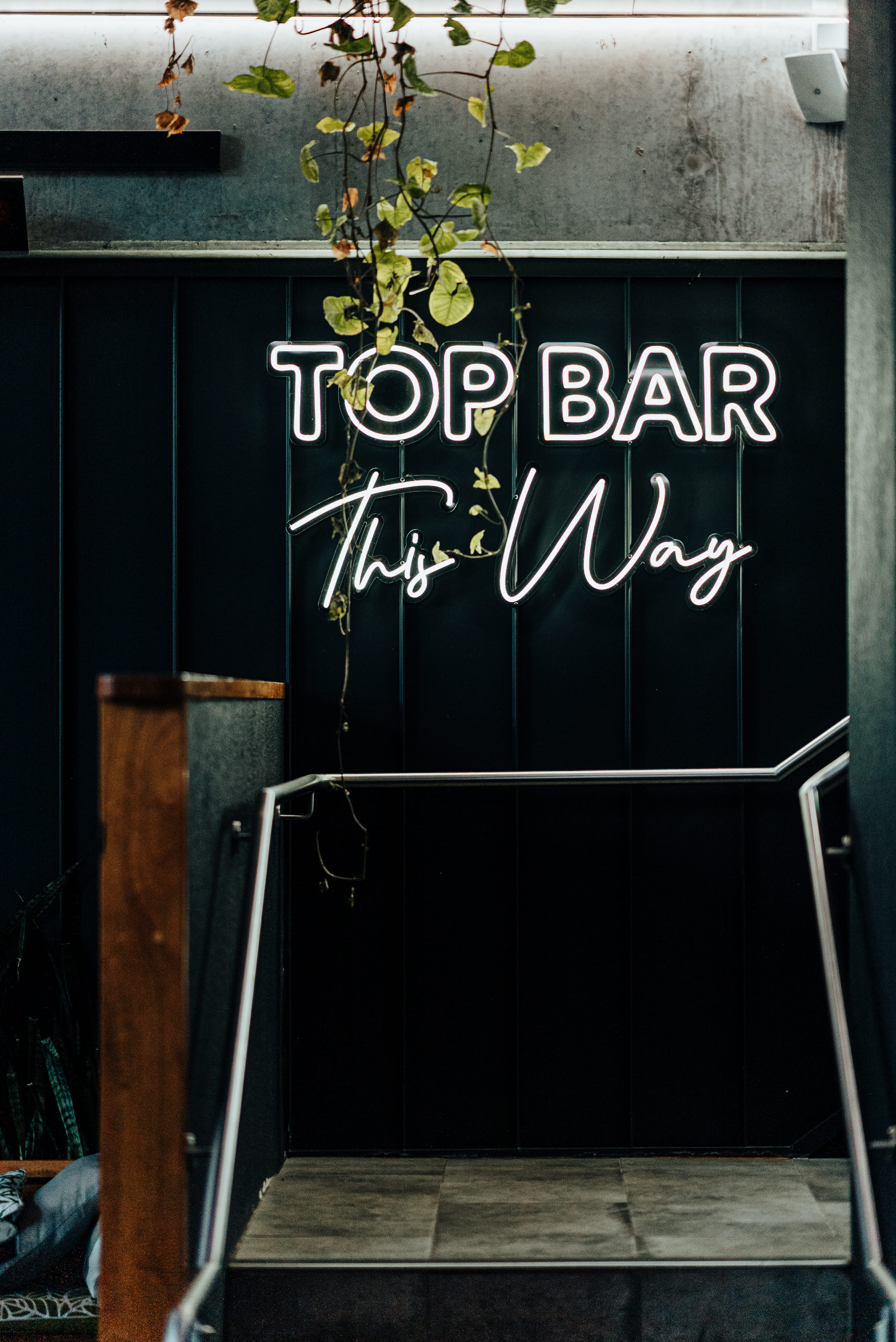 The Top Bar 3