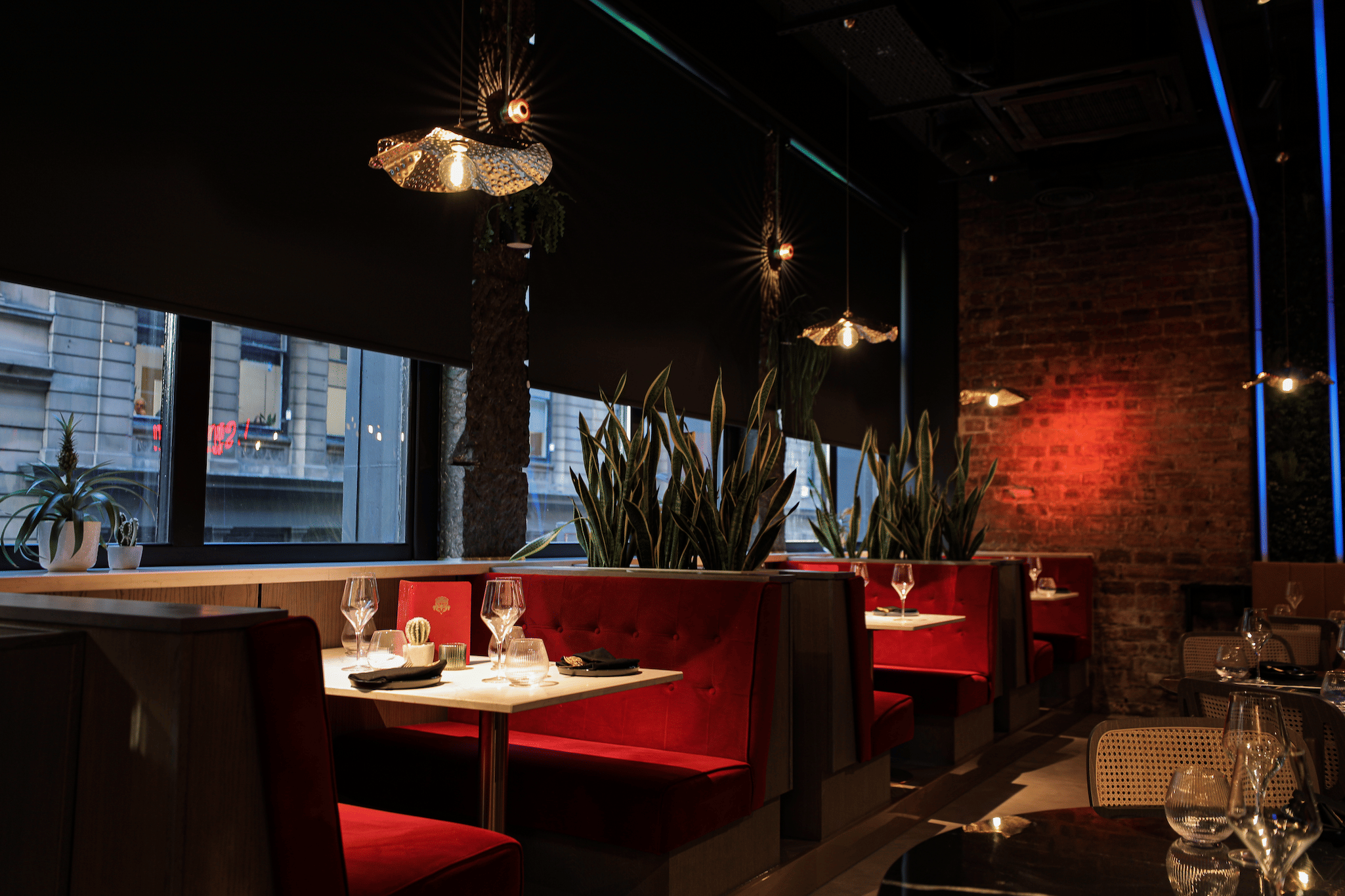 El Santo - Restaurant 6