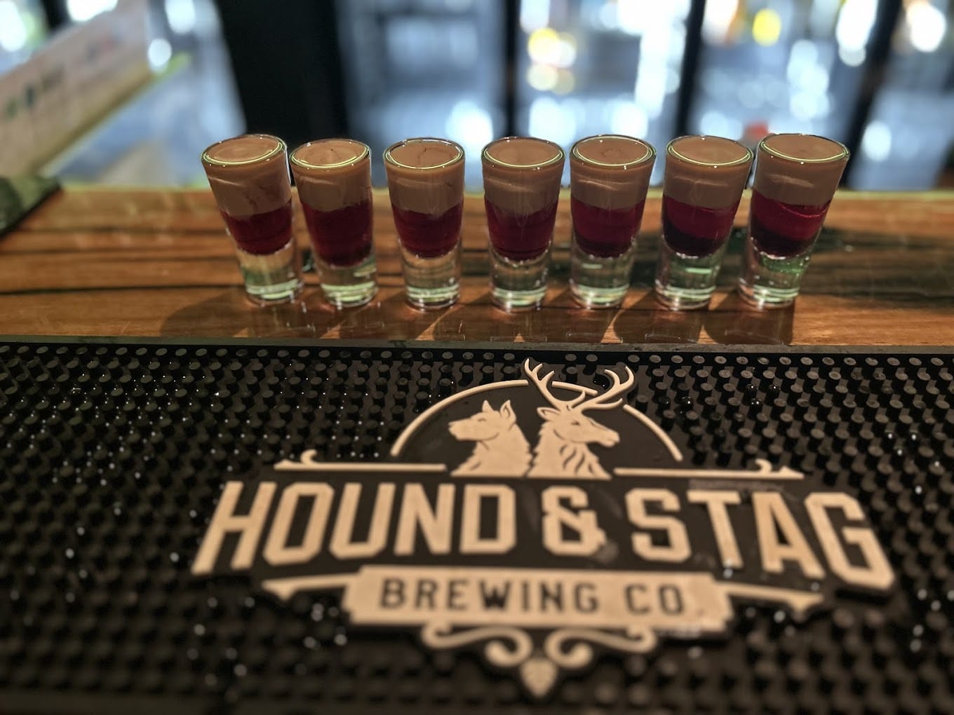 The Stag + Section of the Rear Outdoor Area 6