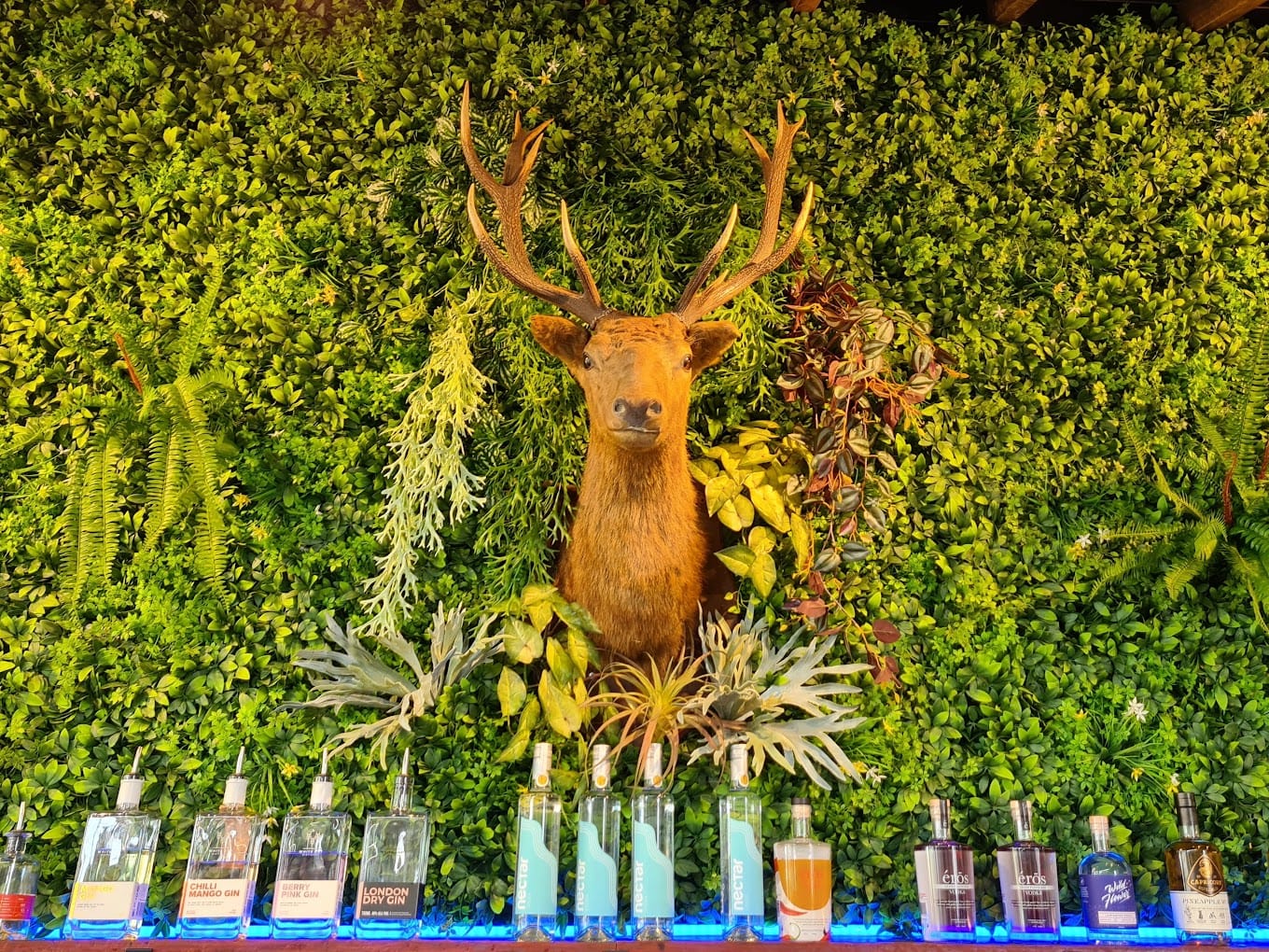 The Stag + Section of the Rear Outdoor Area 5