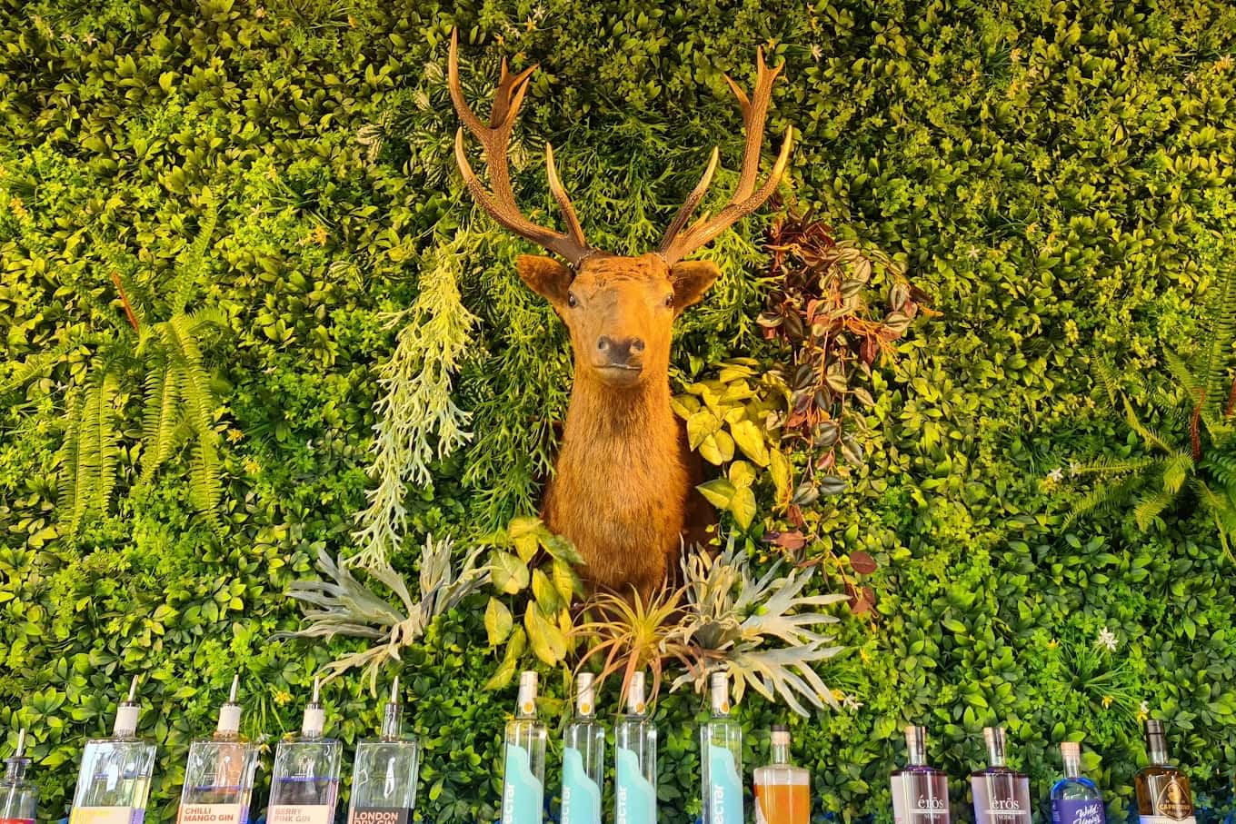 The Stag + Section of the Rear Outdoor Area 5