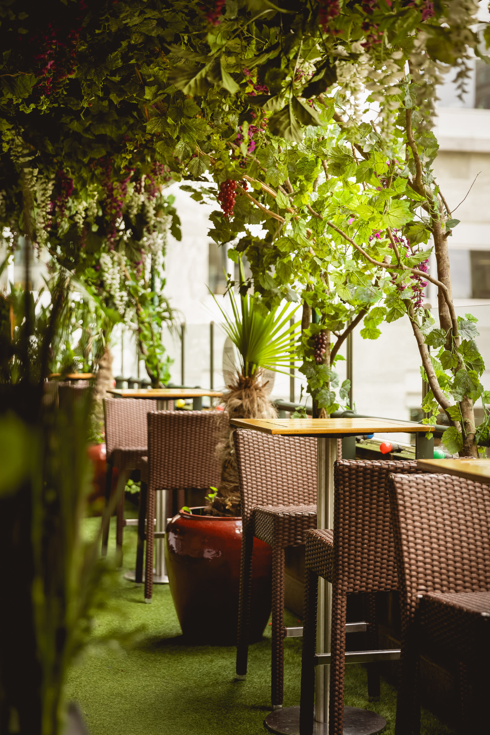 The Hine Bar & Garden Terrace 3