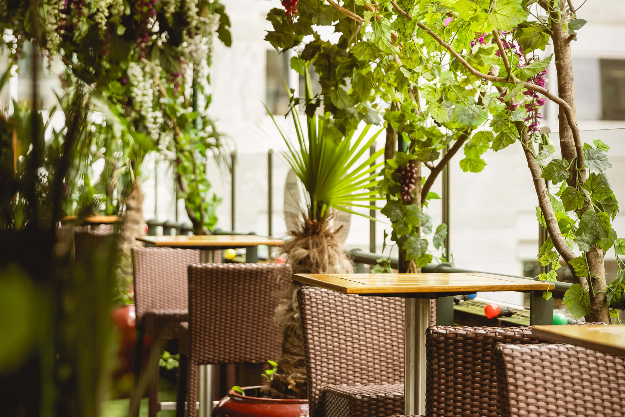 The Hine Bar & Garden Terrace 3