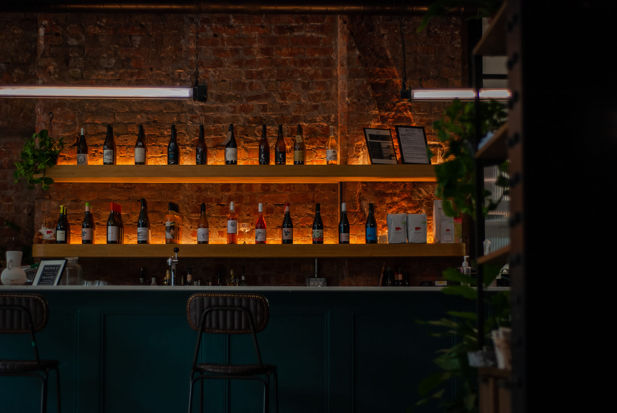 Another Heart to Feed Full Venue 2