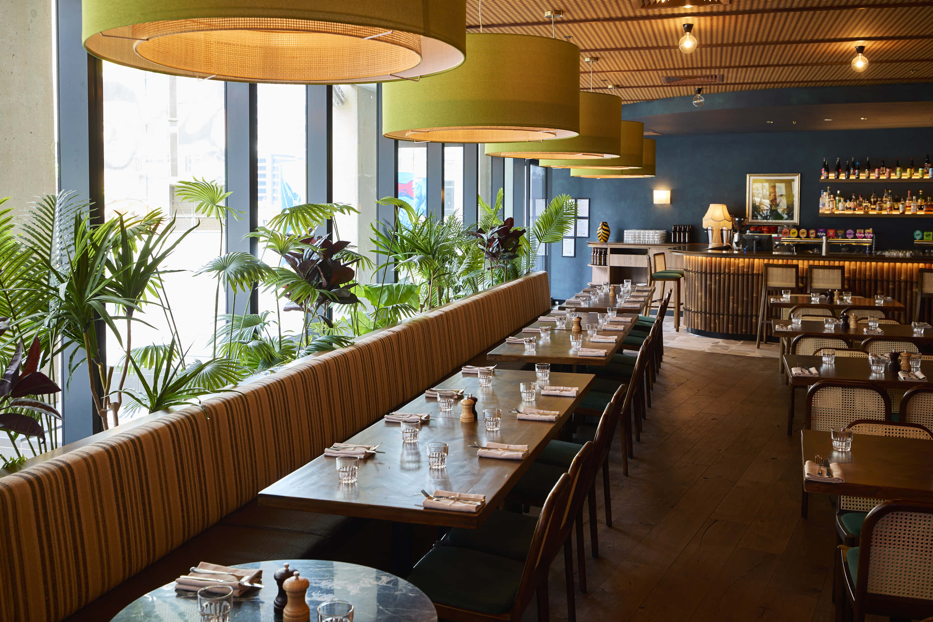 The Jungle Room at Doglands 2