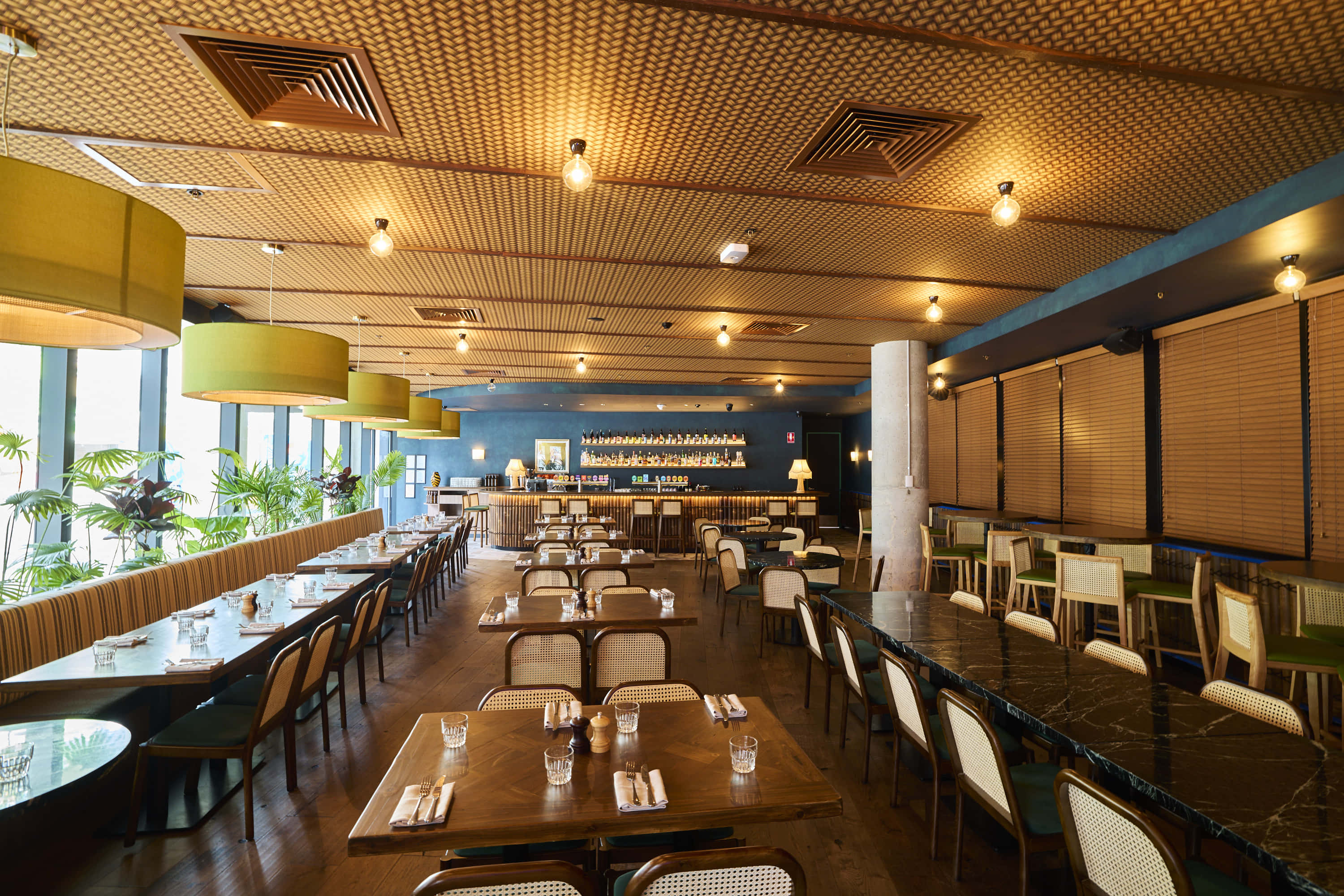 The Jungle Room at Doglands 4