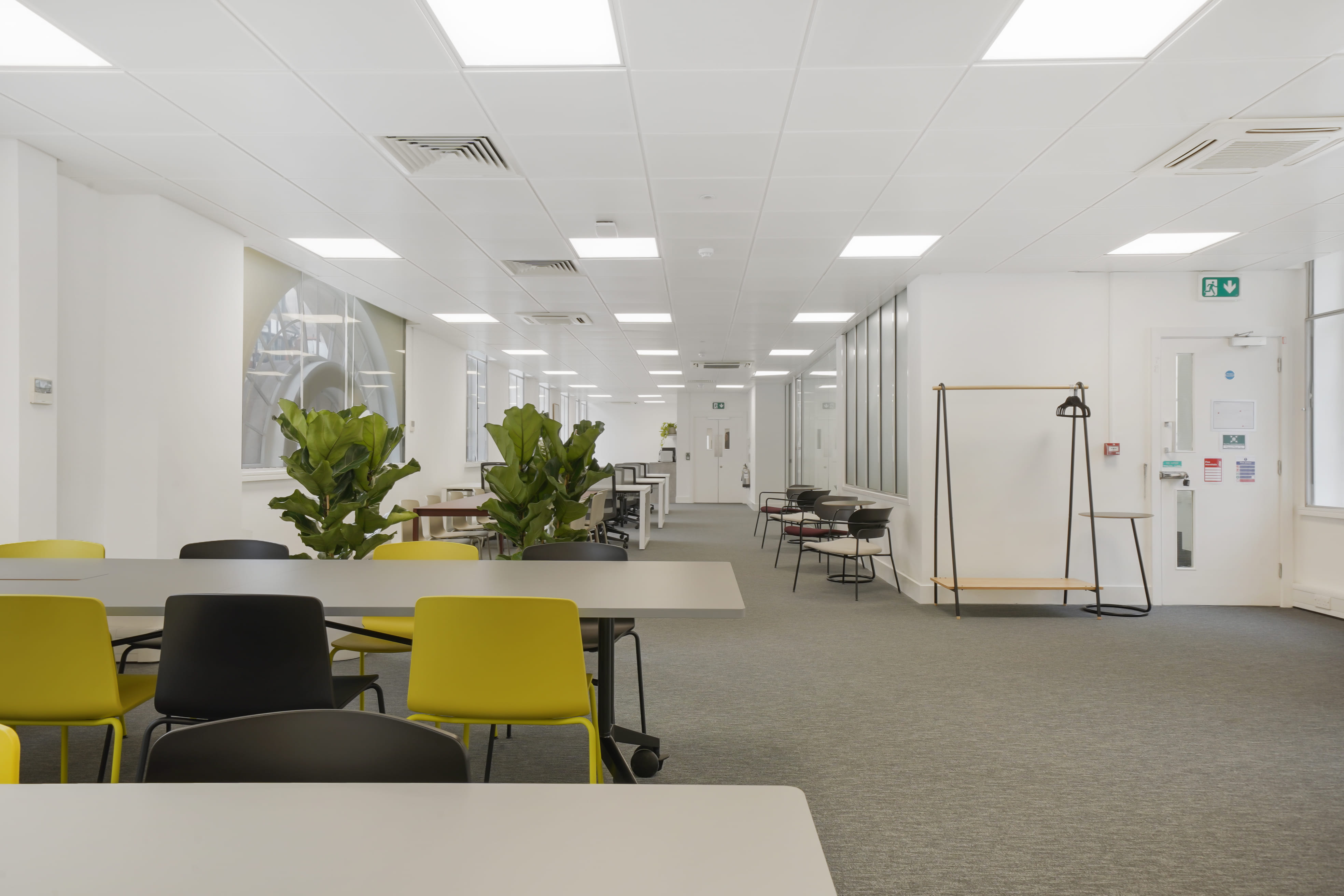 Meeting Room &  Oasis 0