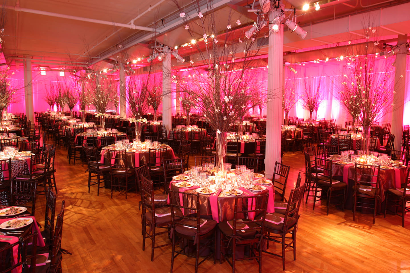 The South Pavilion 1