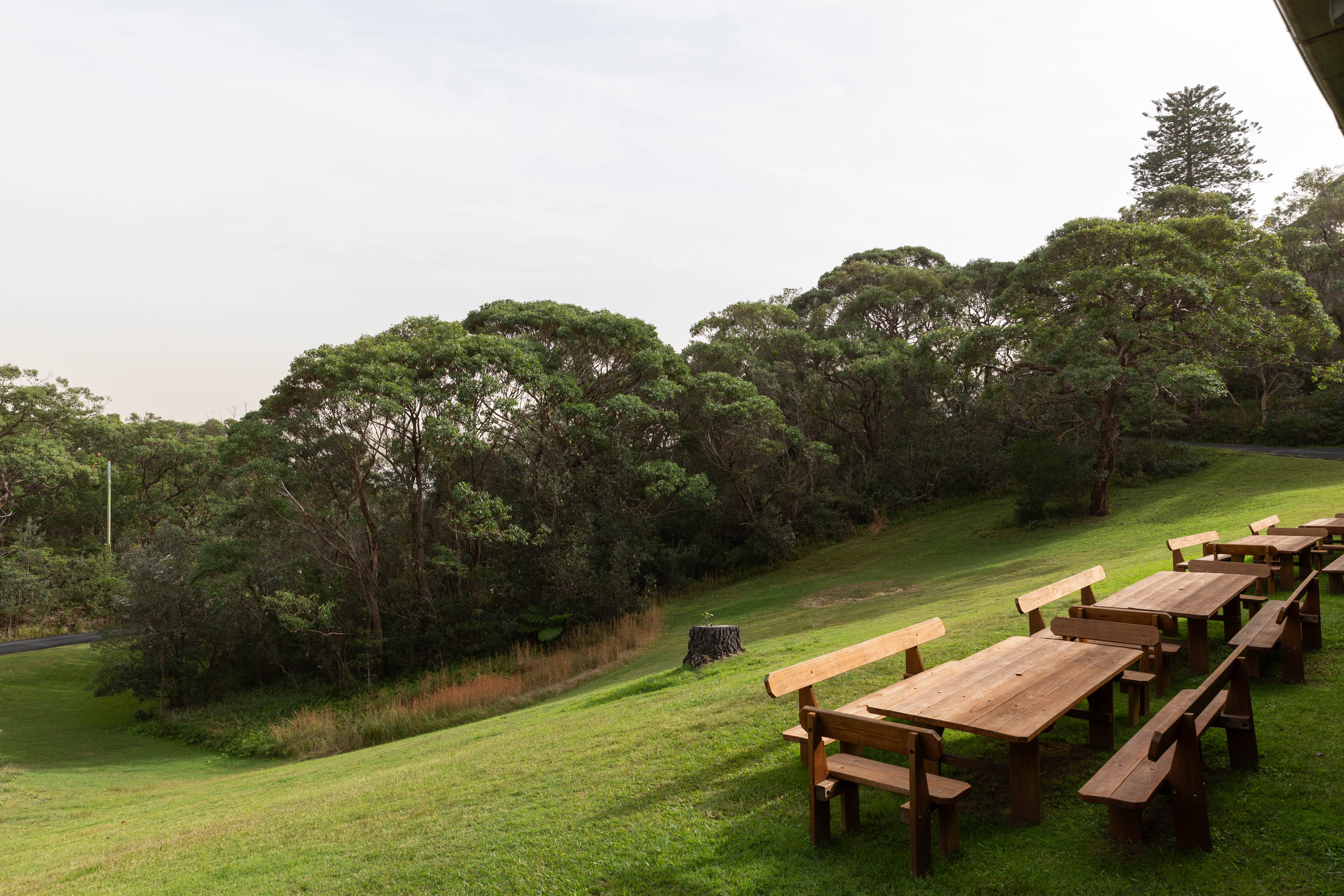 P15 - Former Asiatics 1