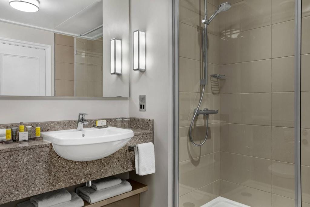 Deluxe Room, Guest room, 1 King  3