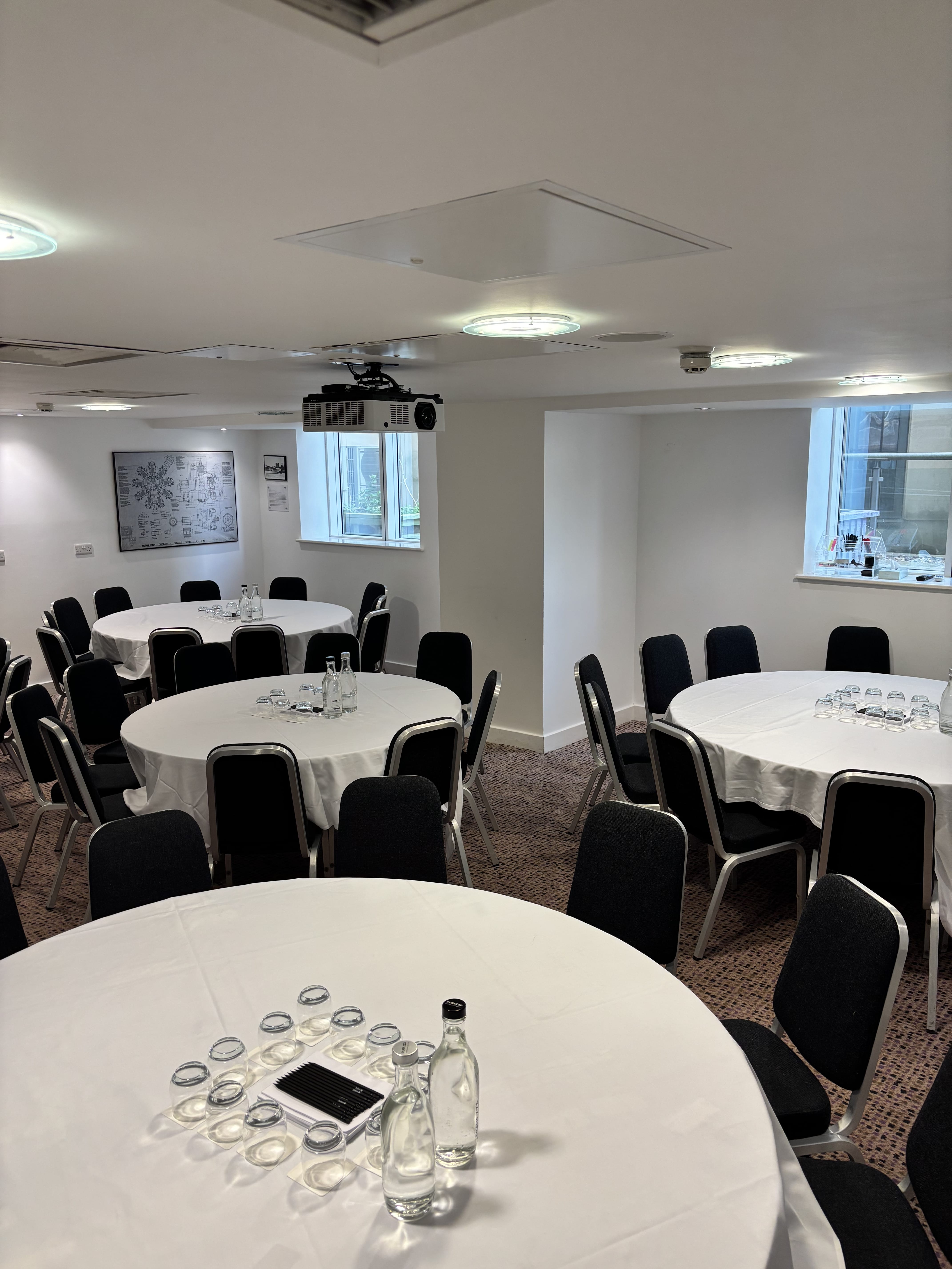 Pegasus and Phoenix Suite 1