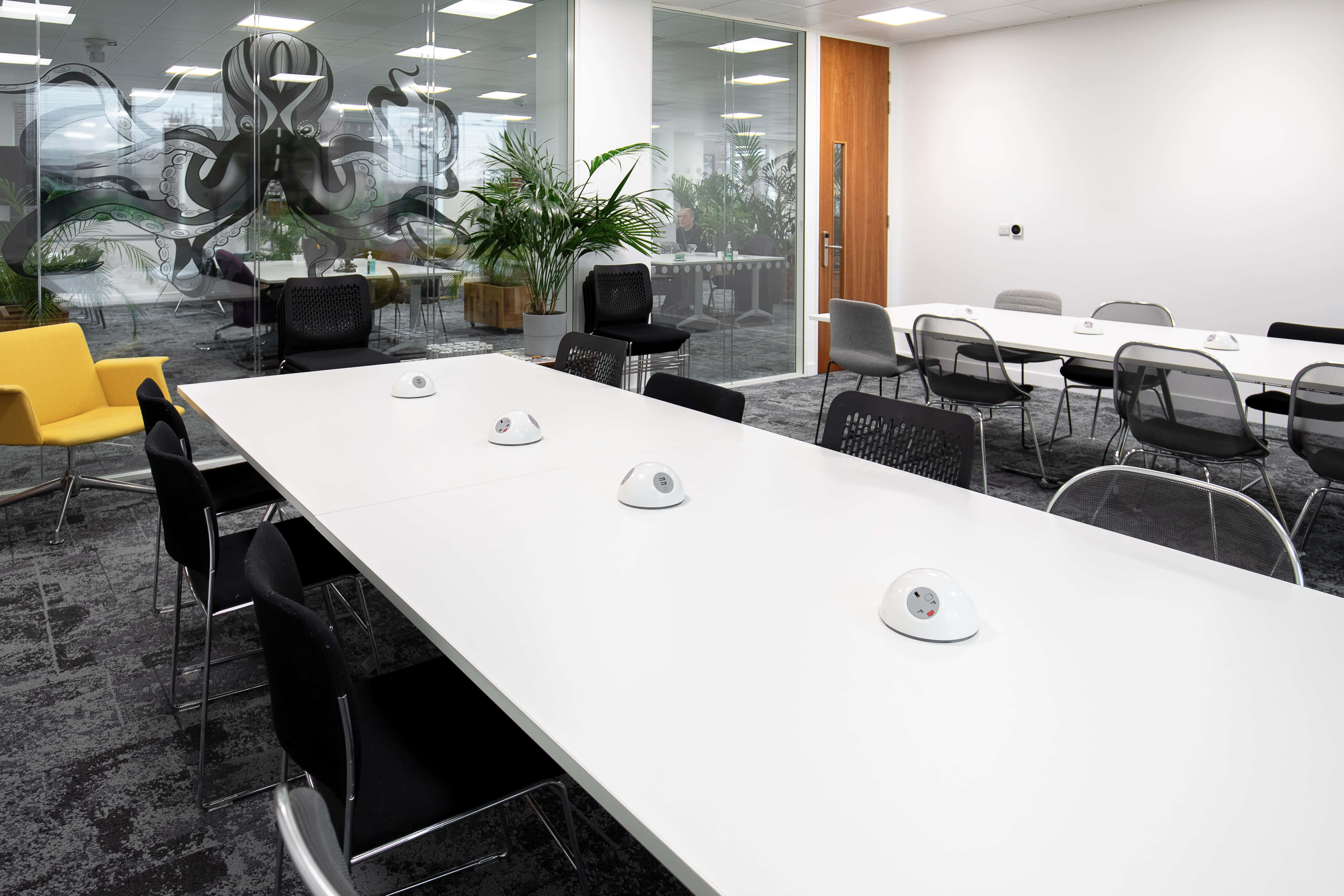 The Curious Lounge - 16 Person Room 0