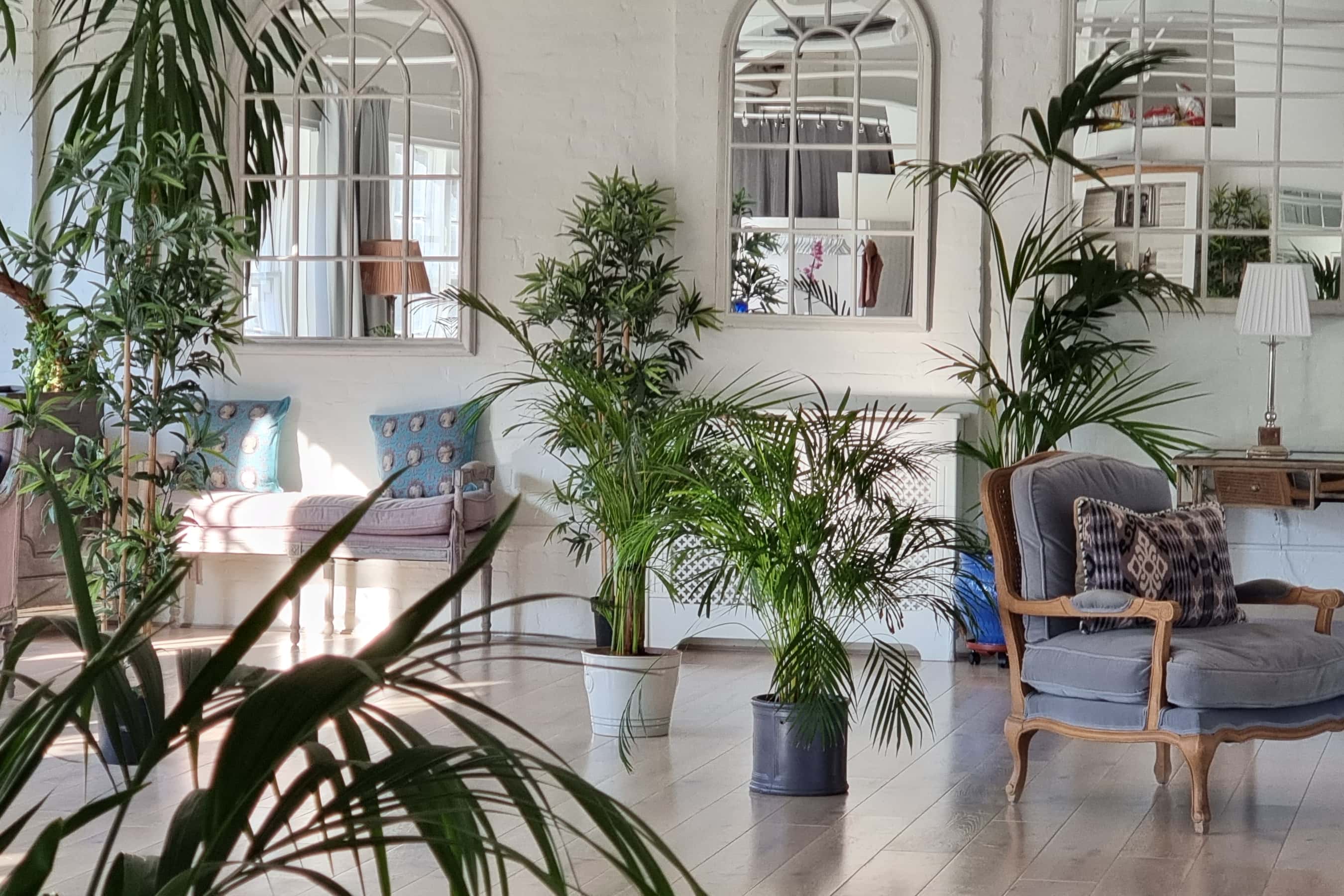 The New White Loft and the Palm Room 27