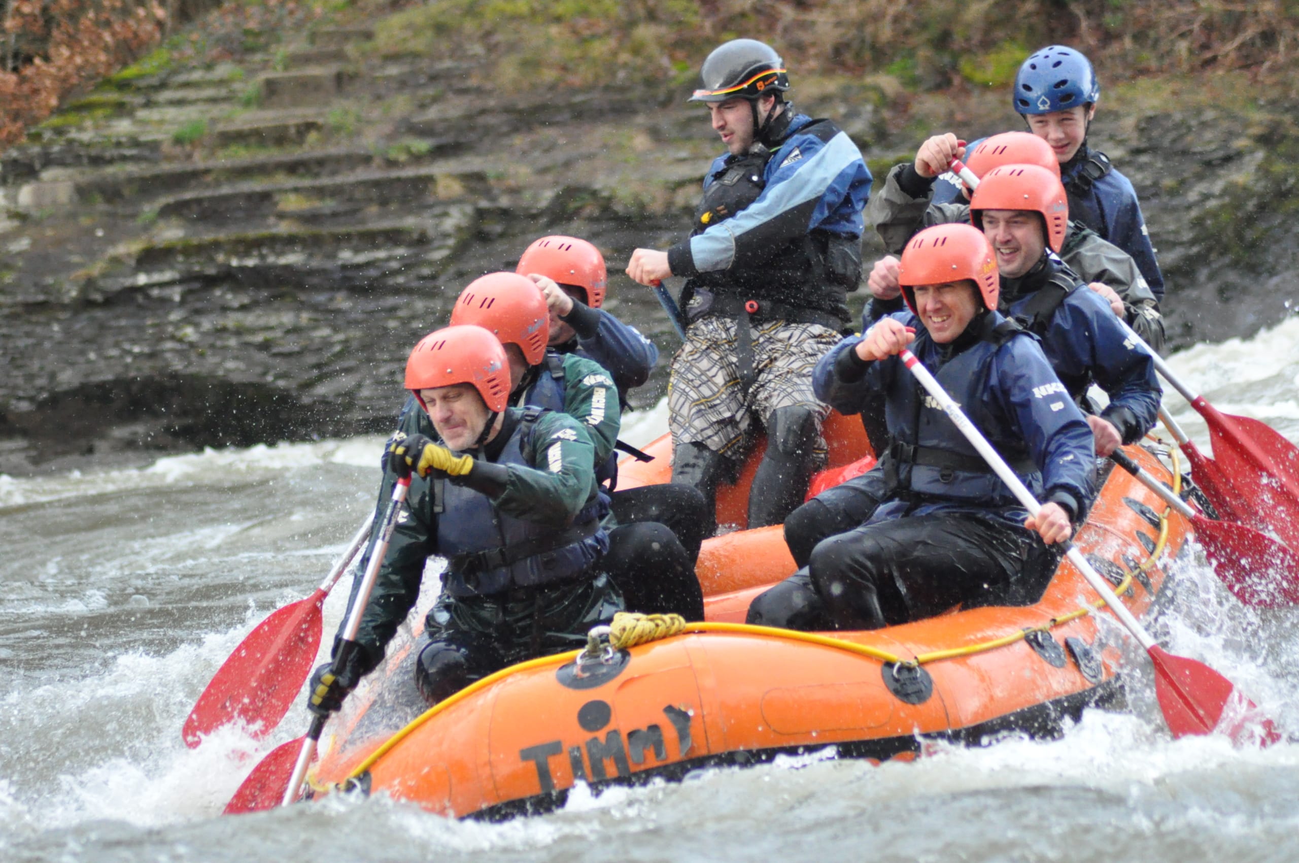 The Farm Activities 7