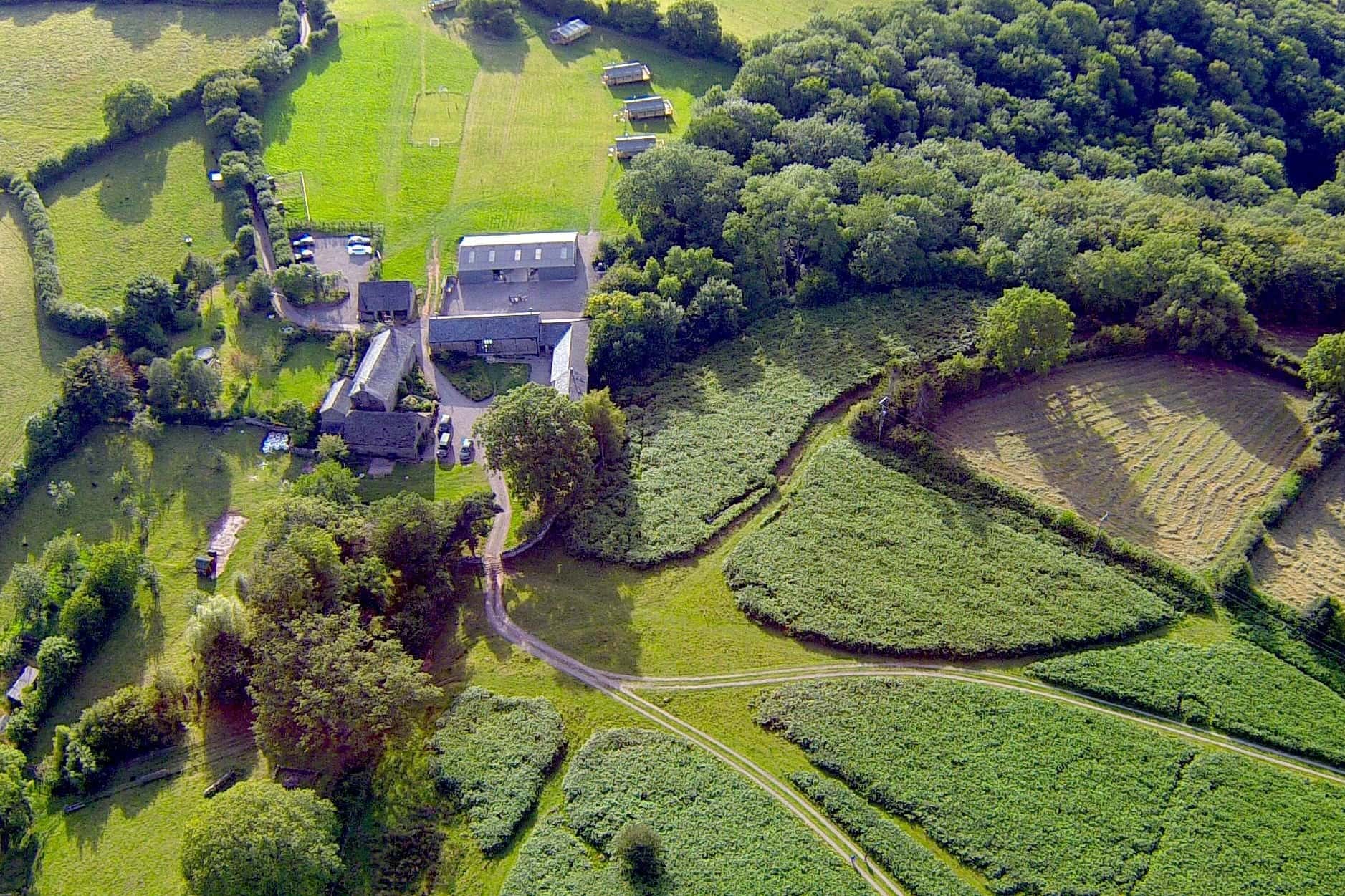 The Farm Activities 0