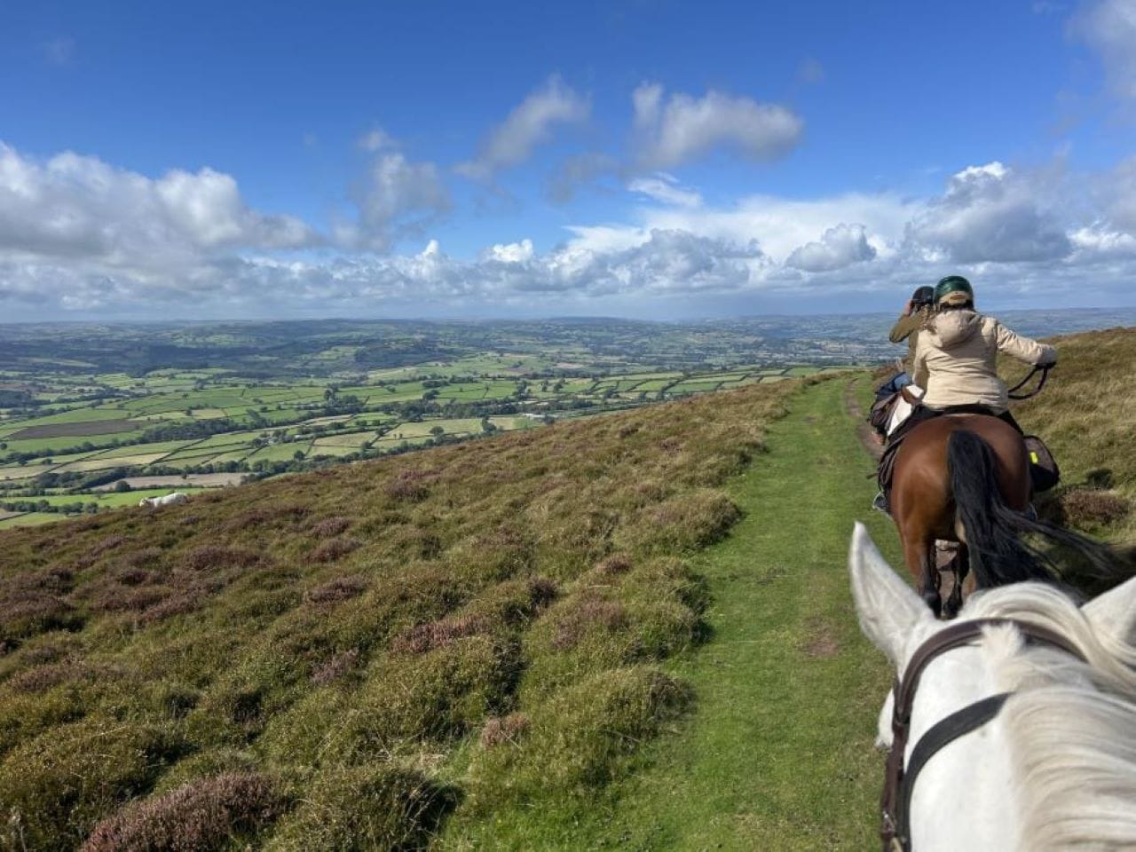 The Farm Activities 5