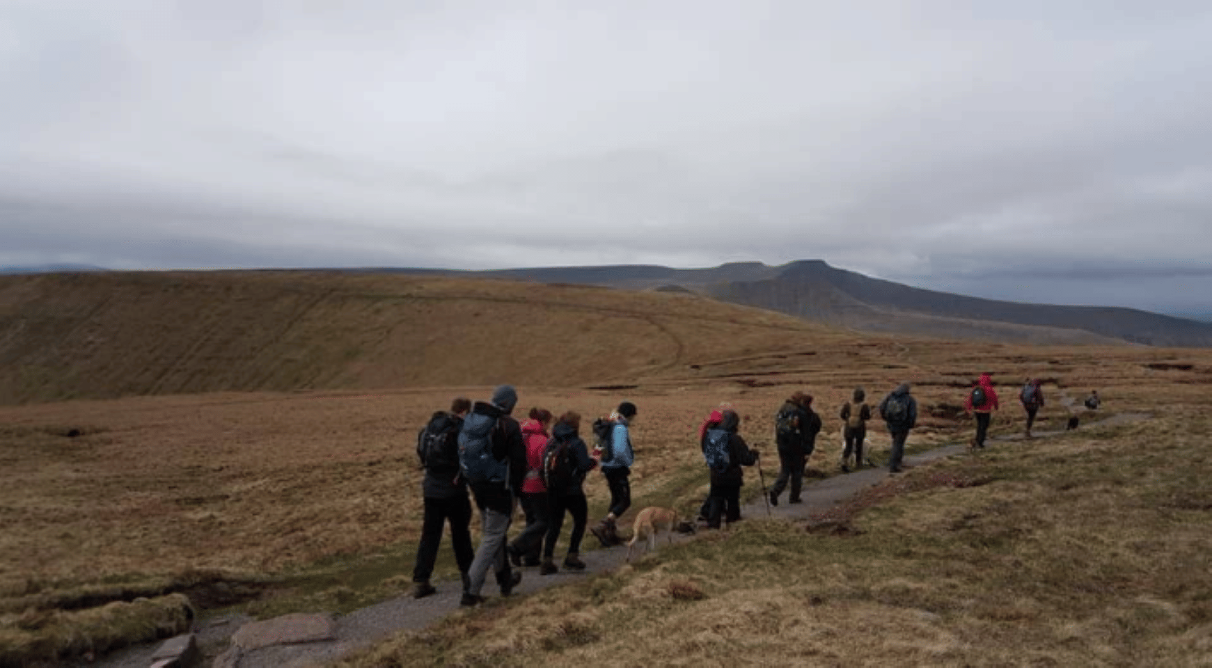 The Farm Activities 6