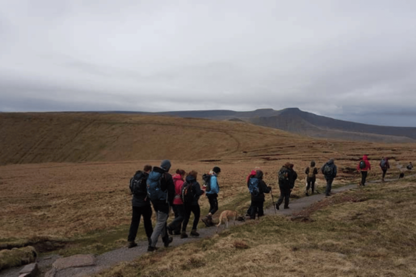 The Farm Activities 6