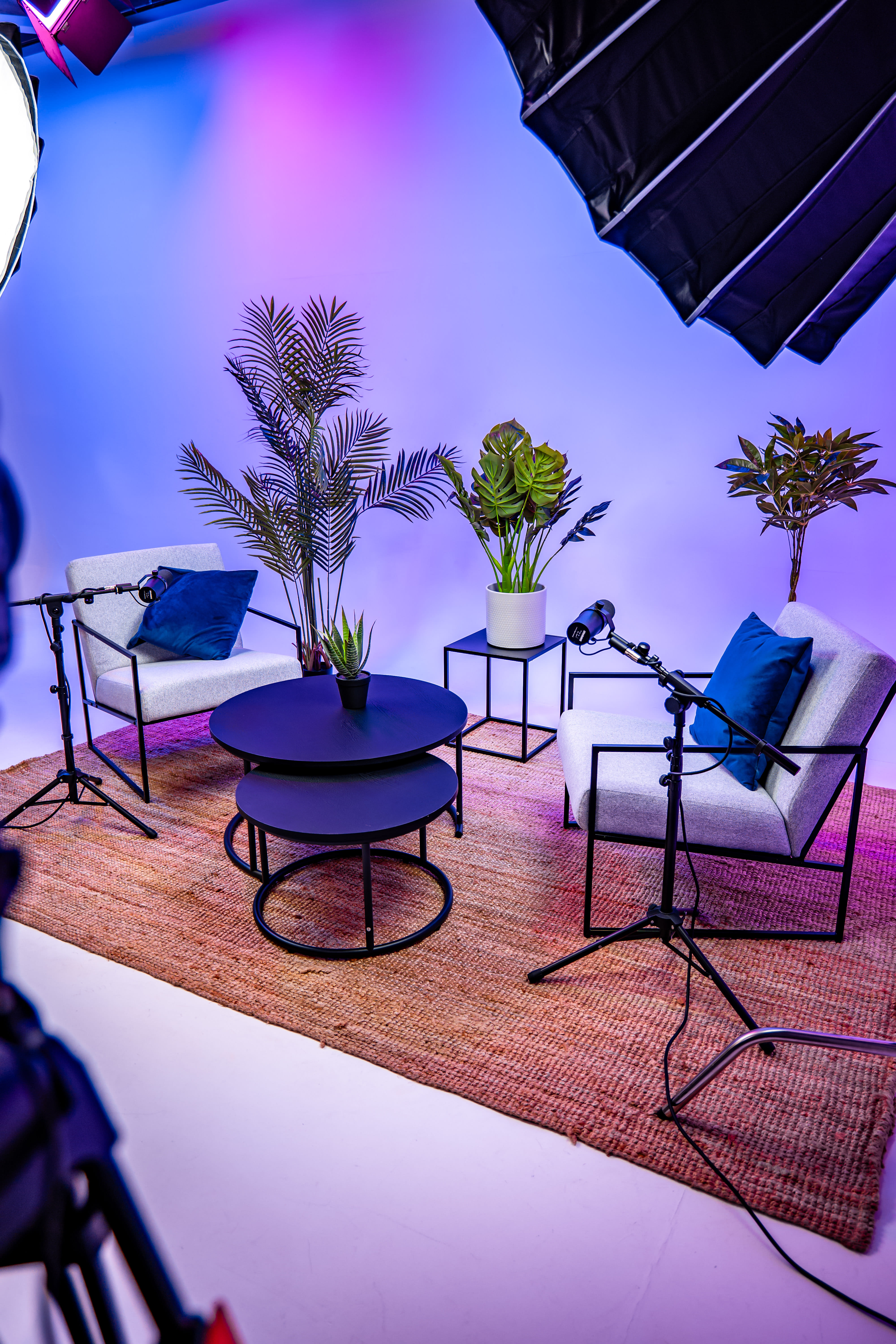 Ignite Social Studio 3