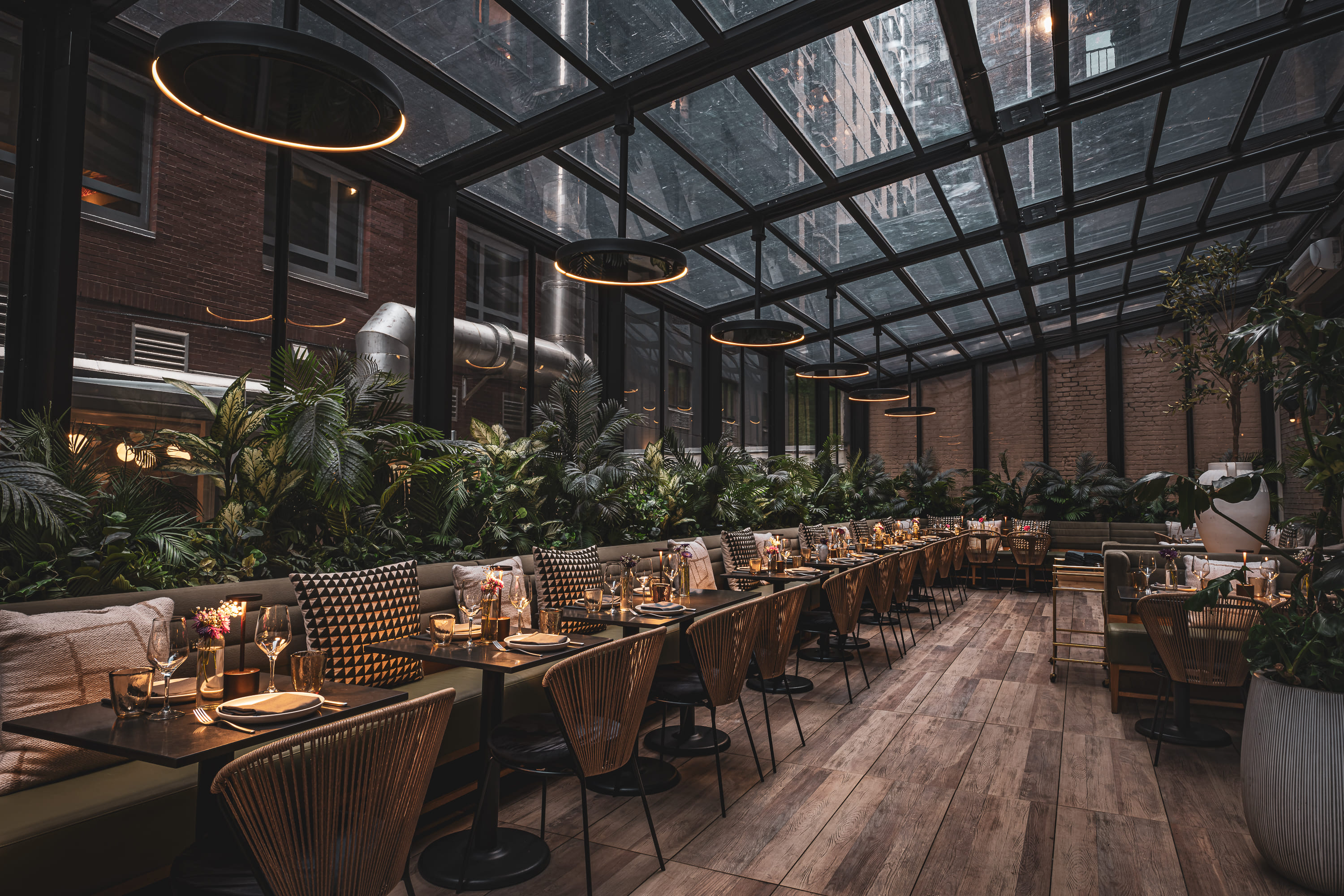 The Terrace 3