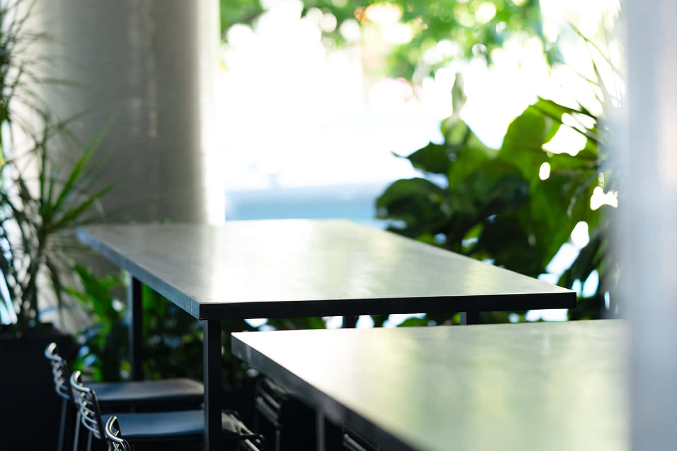 2. THE COURTYARD – Leafy 3