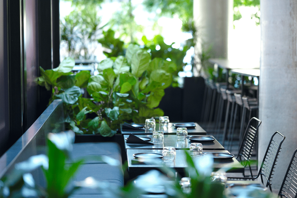 2. THE COURTYARD – Leafy 0