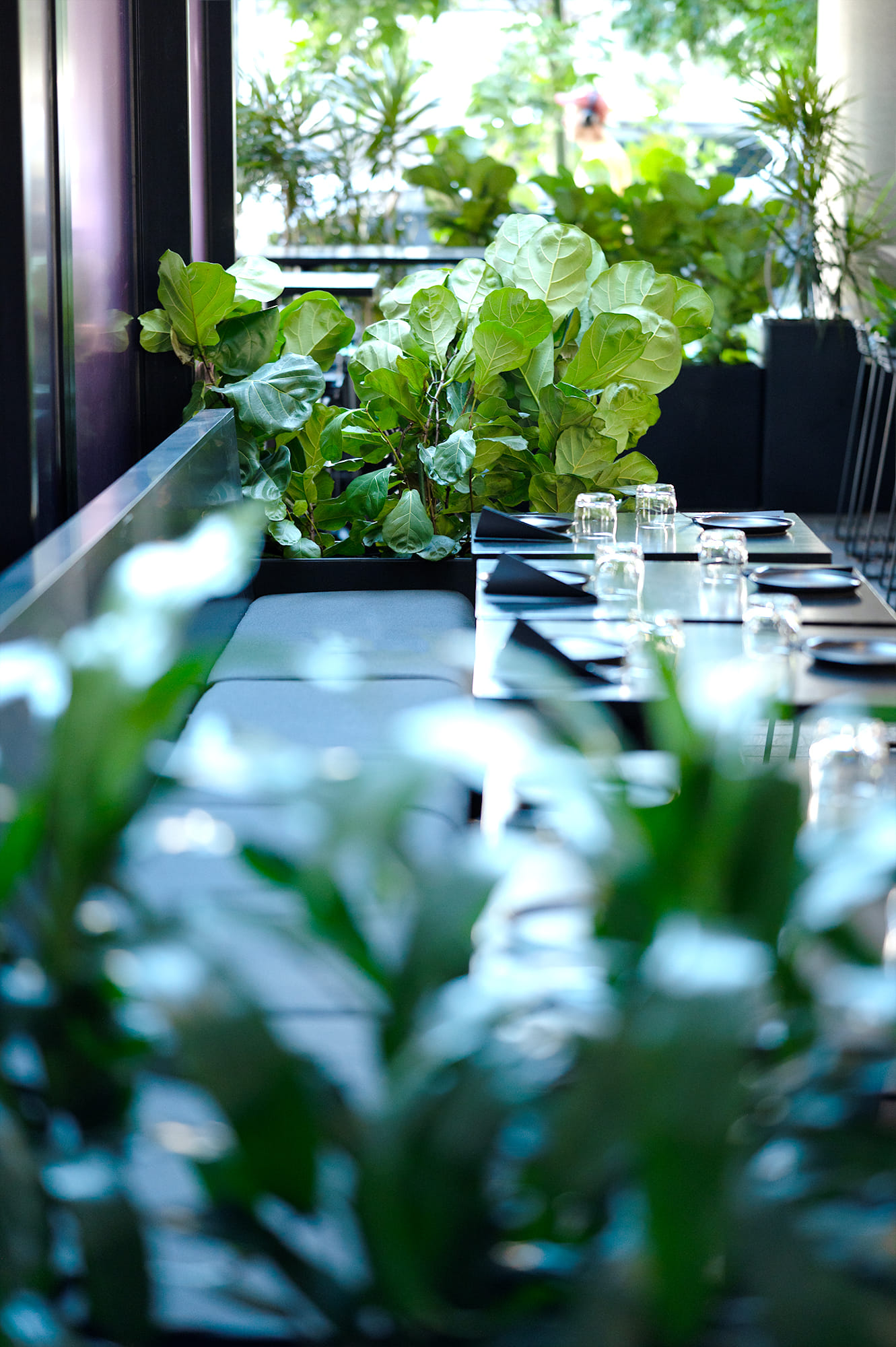 2. THE COURTYARD – Leafy 2