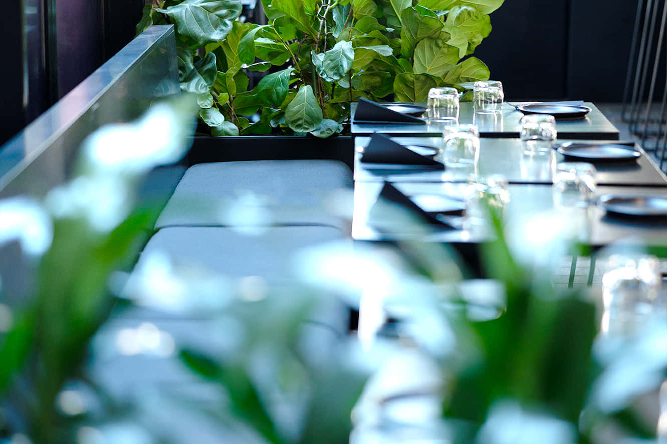 2. THE COURTYARD – Leafy 2