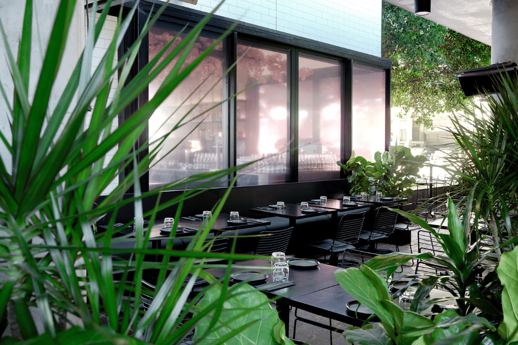 2. THE COURTYARD – Leafy 1