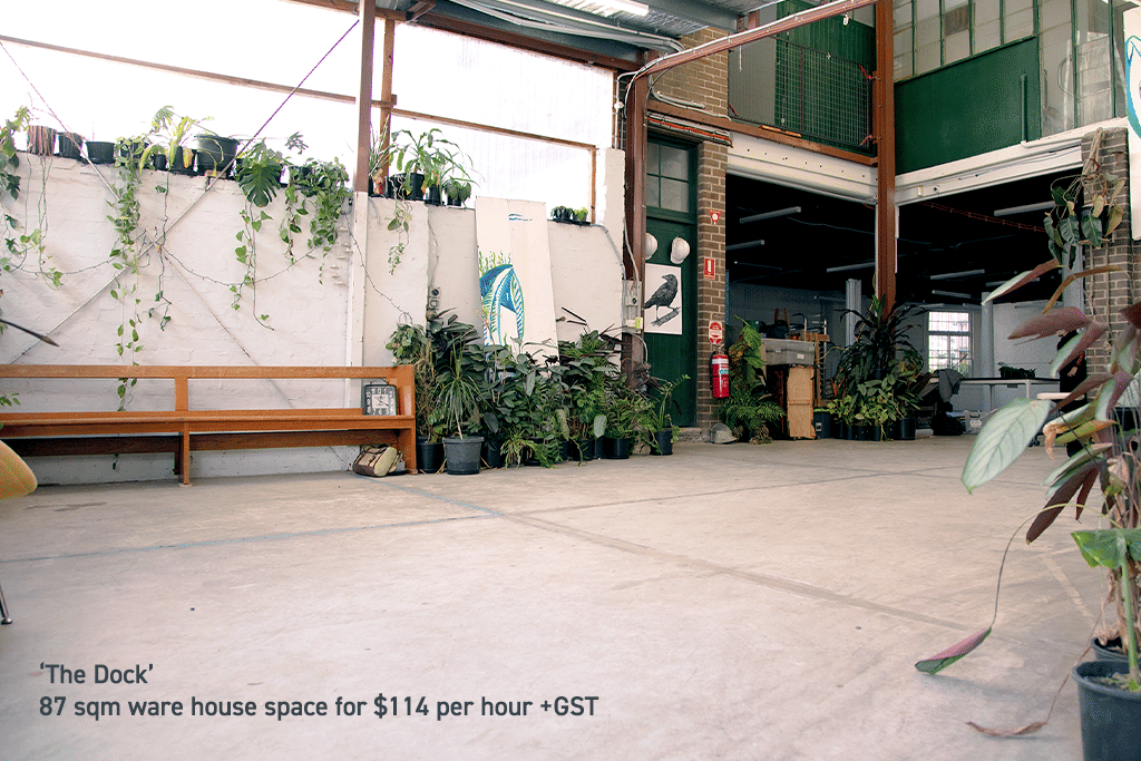 Lush Bright Warehouse Space, Glebe 1